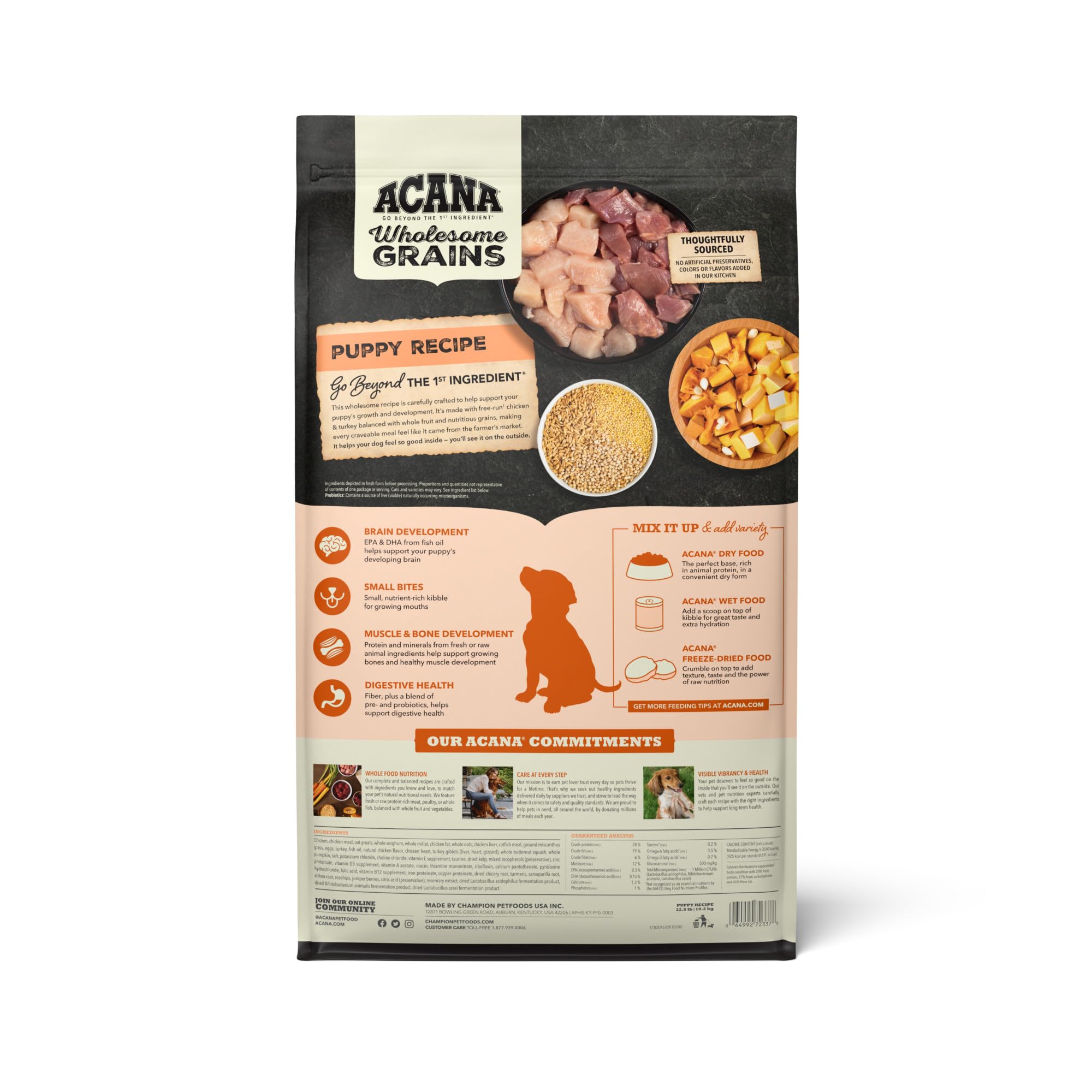 ACANA Wholesome Grains Dry Dog Food, Puppy Recipe, Real Chicken, Eggs and Turkey Dog Food Recipe, 22.5lb