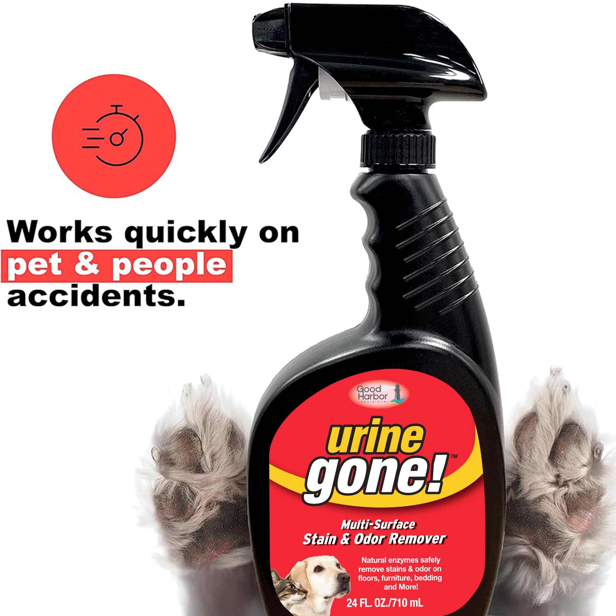 Urine Gone Stain & Odor Eliminator: Professional Strength Fast Acting, Enzyme Based Home Cleaning Solution for Carpet, Stain Rem
