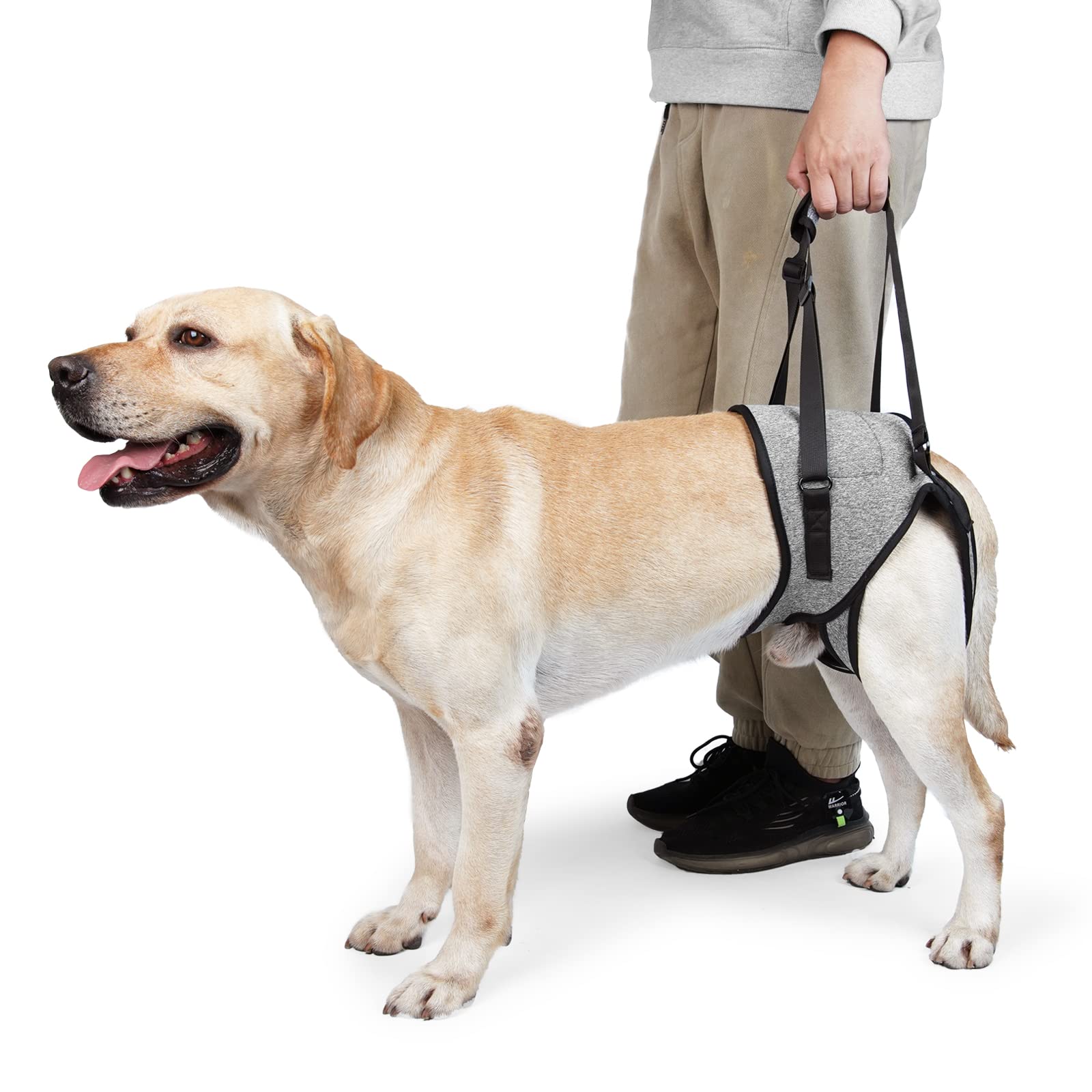 Johnbolin Dog Lift Harness, Dog Sling With Padded, Hind Leg Support To Help Rehabilitate, Helps Senior, Injured, Disabled And Af