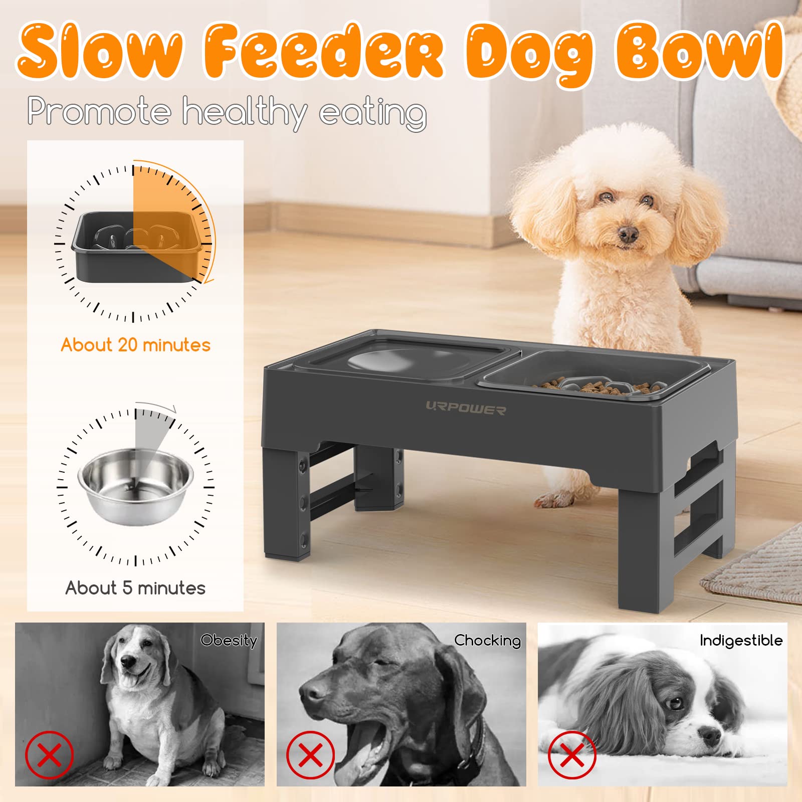 URPOWER 2-in-1 Elevated Slow Feeder Dog Bowls with No Spill Dog Water Bowl Dispenser 4 Height Adjustable Raised Dog Bowl Non-Sli