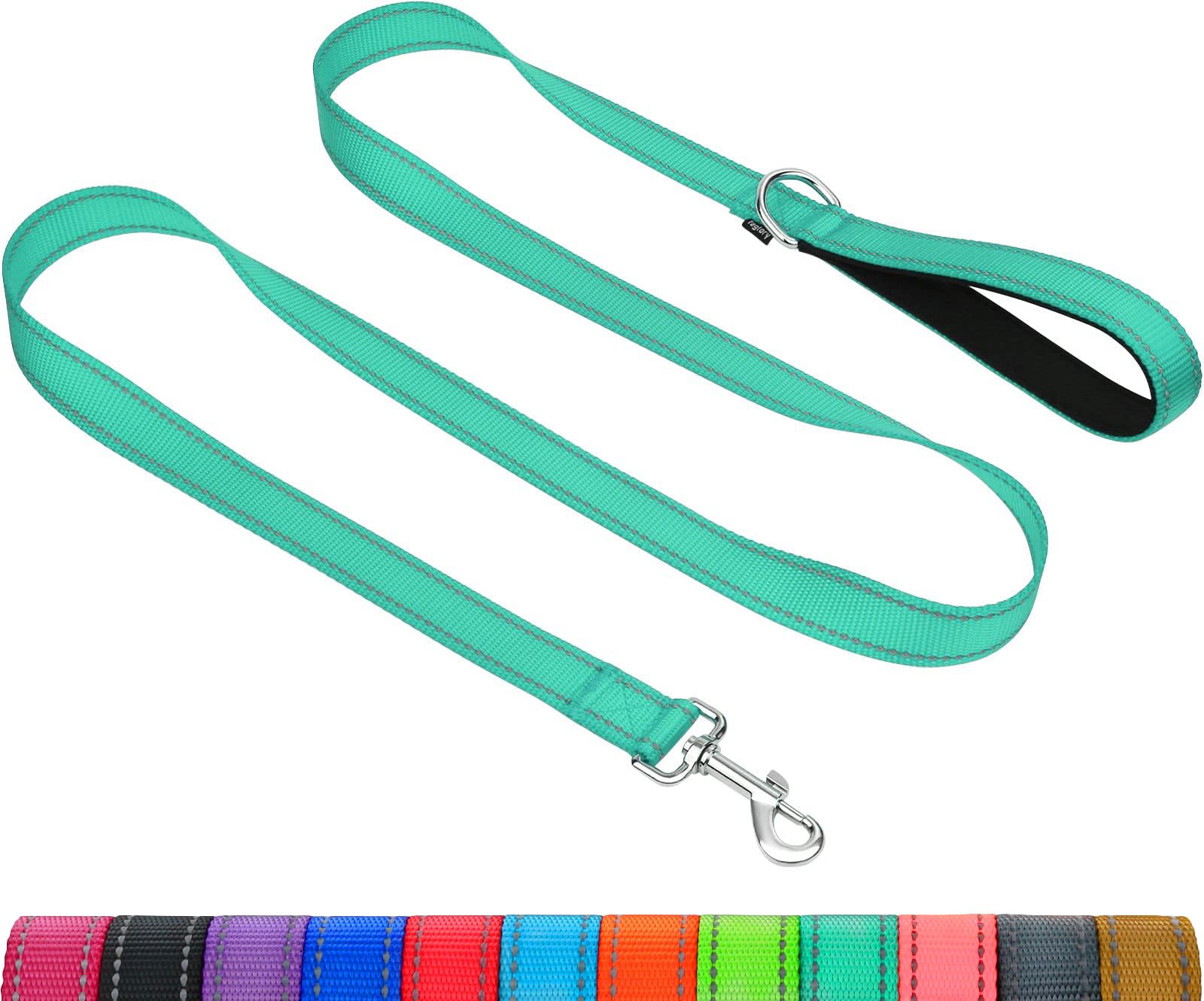 Taglory Dog Leash For Small Dogs, Double-Sided Reflective Leash With Soft Neoprene Padded Handle, 3/4 Inch By 6 Ft, Fit Small Me