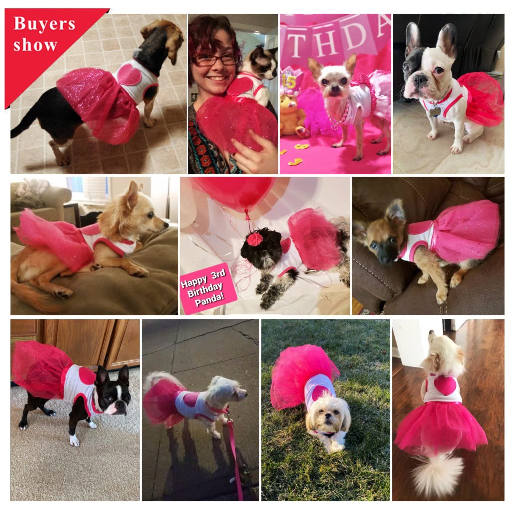 Idepet Spring Summer Pet Dog Cat Puppy Tutu Princess Dress Heart Printed Lace Skirt Clothes Pet Apparel (Xs)