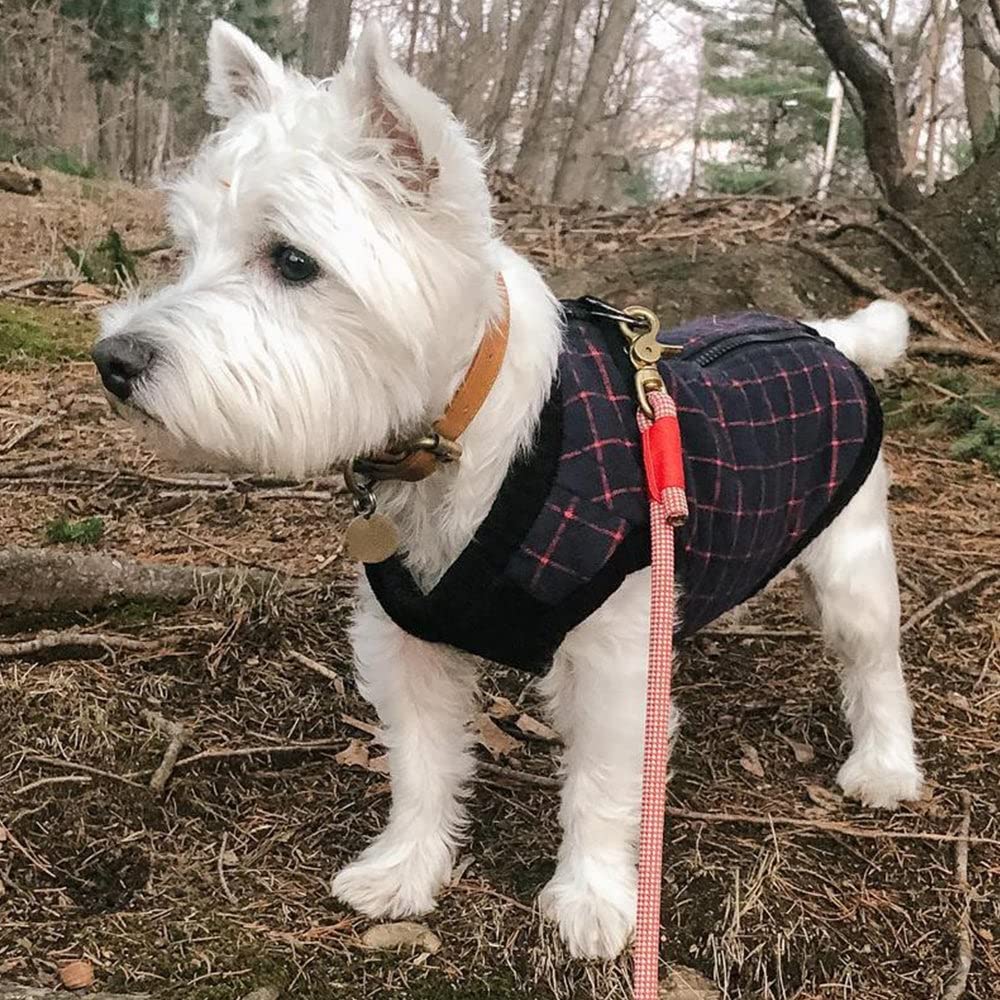 Gooby Fashion Vest Check Dog Jacket - Navy Check, X-Large - Warm Zip Up Dog Bomber Vest Dual D Ring Leash - Winter Water Resista