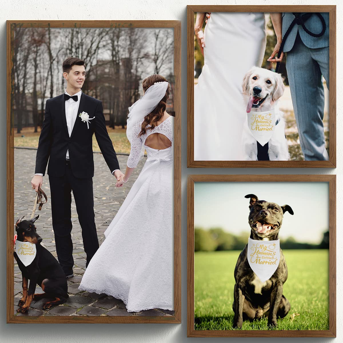 Engagement Gift, My Humans Are Getting Married Dog Bandana, Wedding Photo Prop, Pet Scarf, Dog Engagement Announcement, Pet Acce
