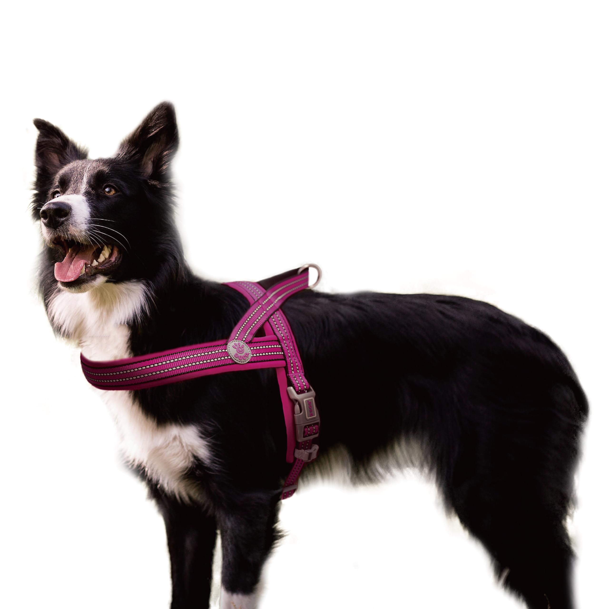 Doco No-Pull Dog Harness Halter - Reflective, Easy-Control Harness - Ideal For Teaching Leash Manners And Preventing Pulling (Ra