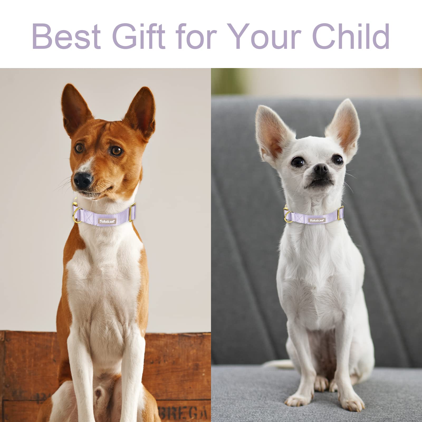 Babole Nylon Dog Collars Lavender For Small Puppy Dog,13 Colors,Adjustable Soft Comfortable Pet Collars With Safety Metal Buckle For Medium Large Boy&Girl&Female Dog(L)