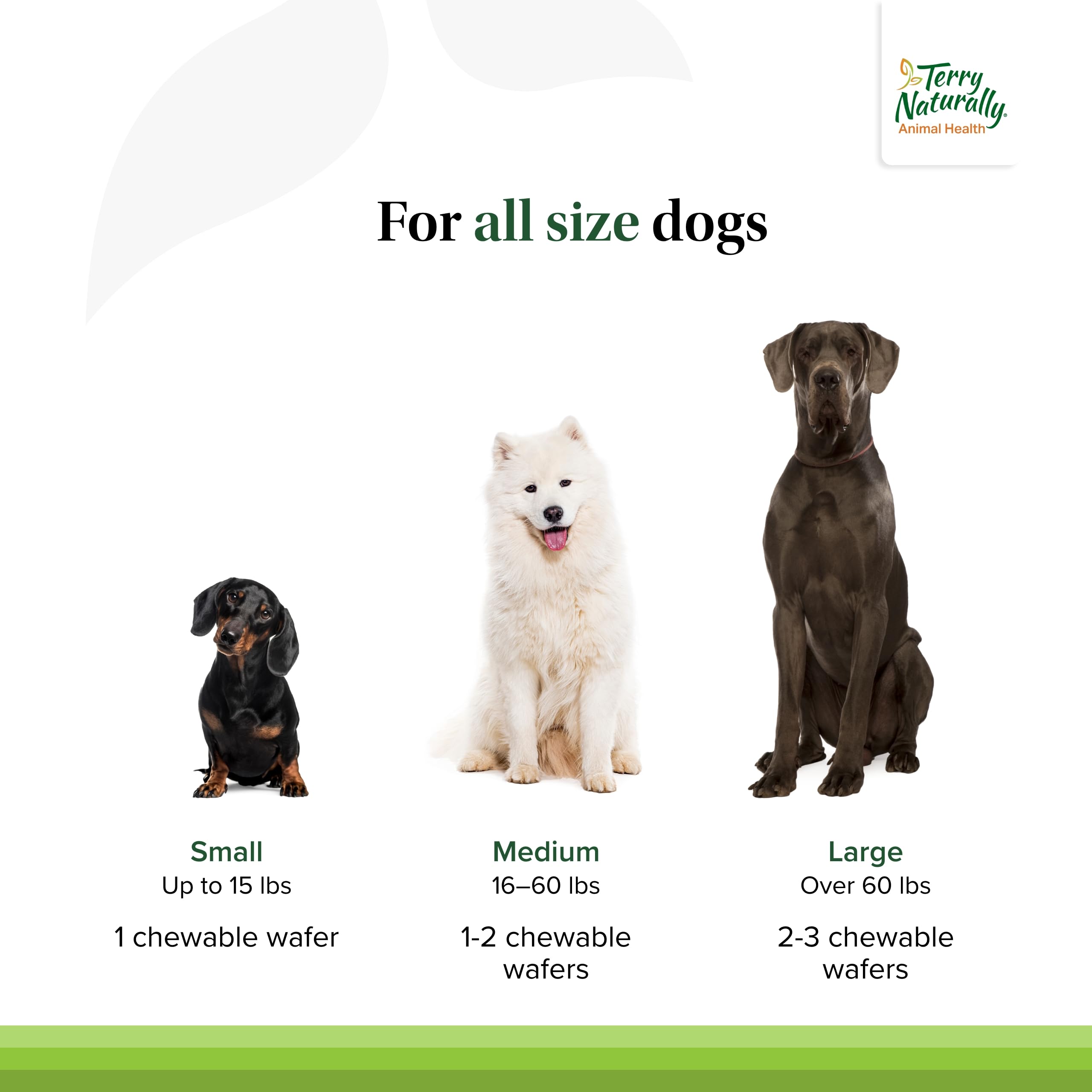 Terry Naturally Joint & Hip - Dog Health Supplement for Joint & Hip Support - Muscle Health Formula - Joint Health Support for D