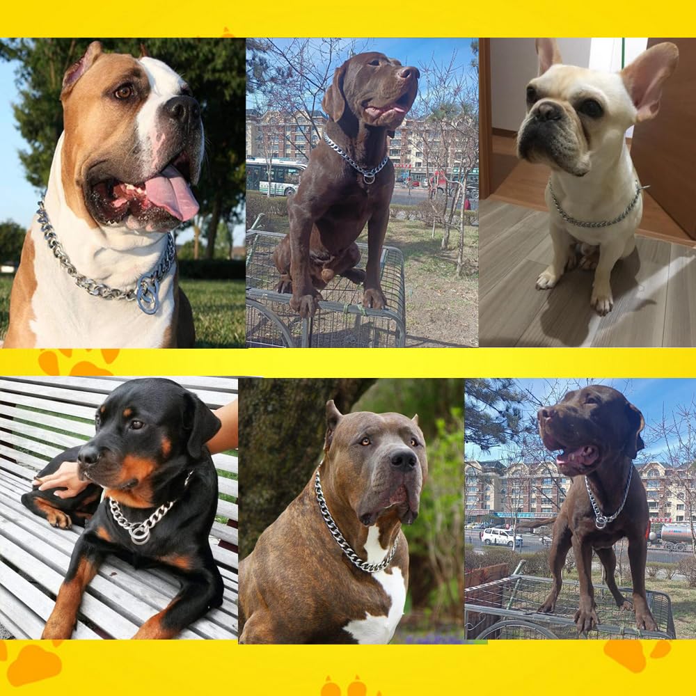 Silver Dog Choke Collar For Large Dogs, Dog Chain Collars Training Metal Link Slip P Chain Heavy Duty Martingale Collar For Xs S