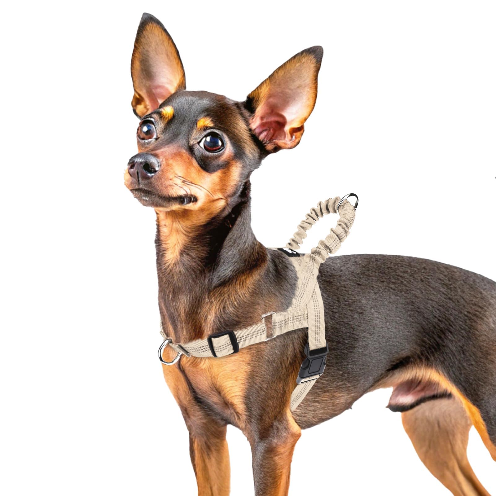 Pupteck No Pull Dog Harness Small Sized Dog, Adjustable Reflective Pet Vest Harness With Bungee Handle, Escape Proof No Choke Ha