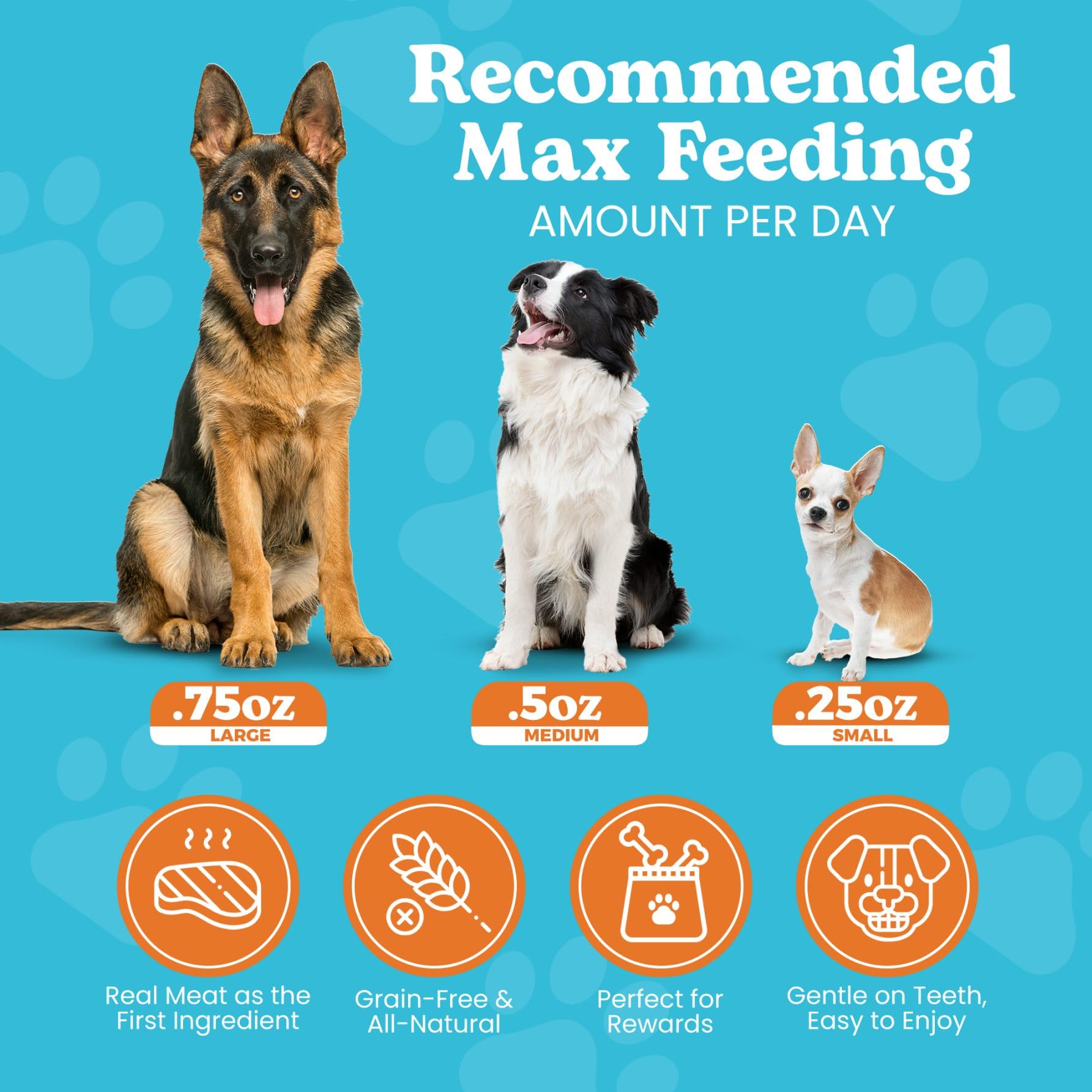 Wild Meadow Farms Classic Pork Bites - Grain-Free Soft Jerky Treats for Dogs, 3.5 Ounce Pouch, Ideal for Training & Rewards