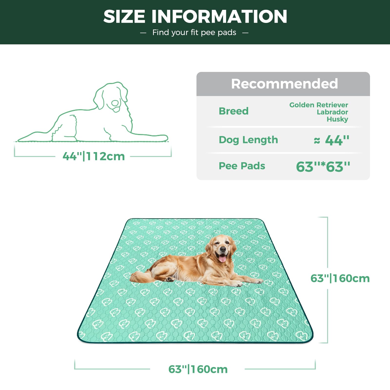 Fxw Washable Pee Pads For Dogs, Puppy Pads With Super Absorbent, 63'' X 39'', Specifically Designed For 24Inch 6 Panels Dog Play