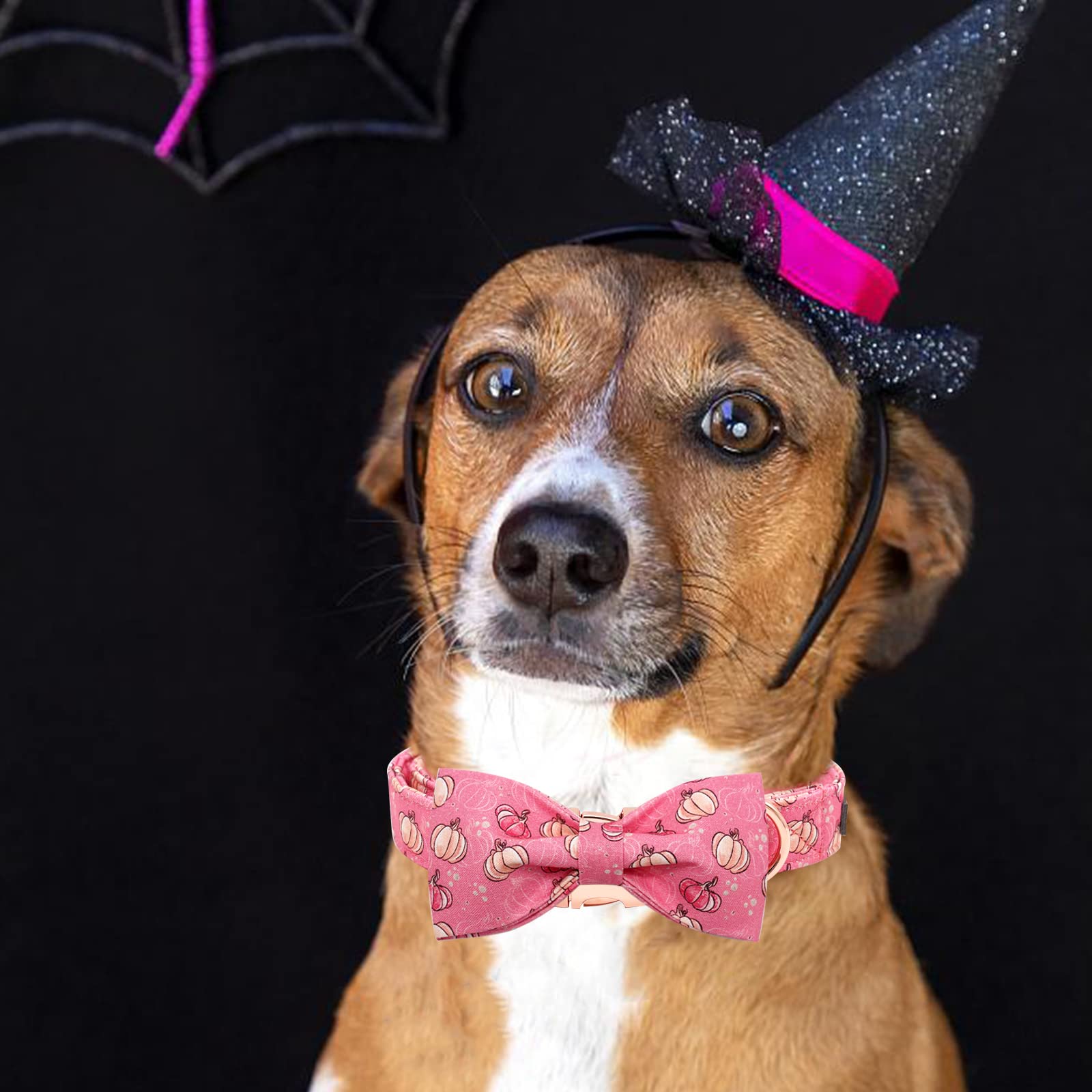 Elegant Little Tail Dog Collar With Bow, Halloween Pumpkin Bowtie Dog Collar, Adjustable Dog Collar Bow Pet Gift Collars For Small Medium Large Dogs