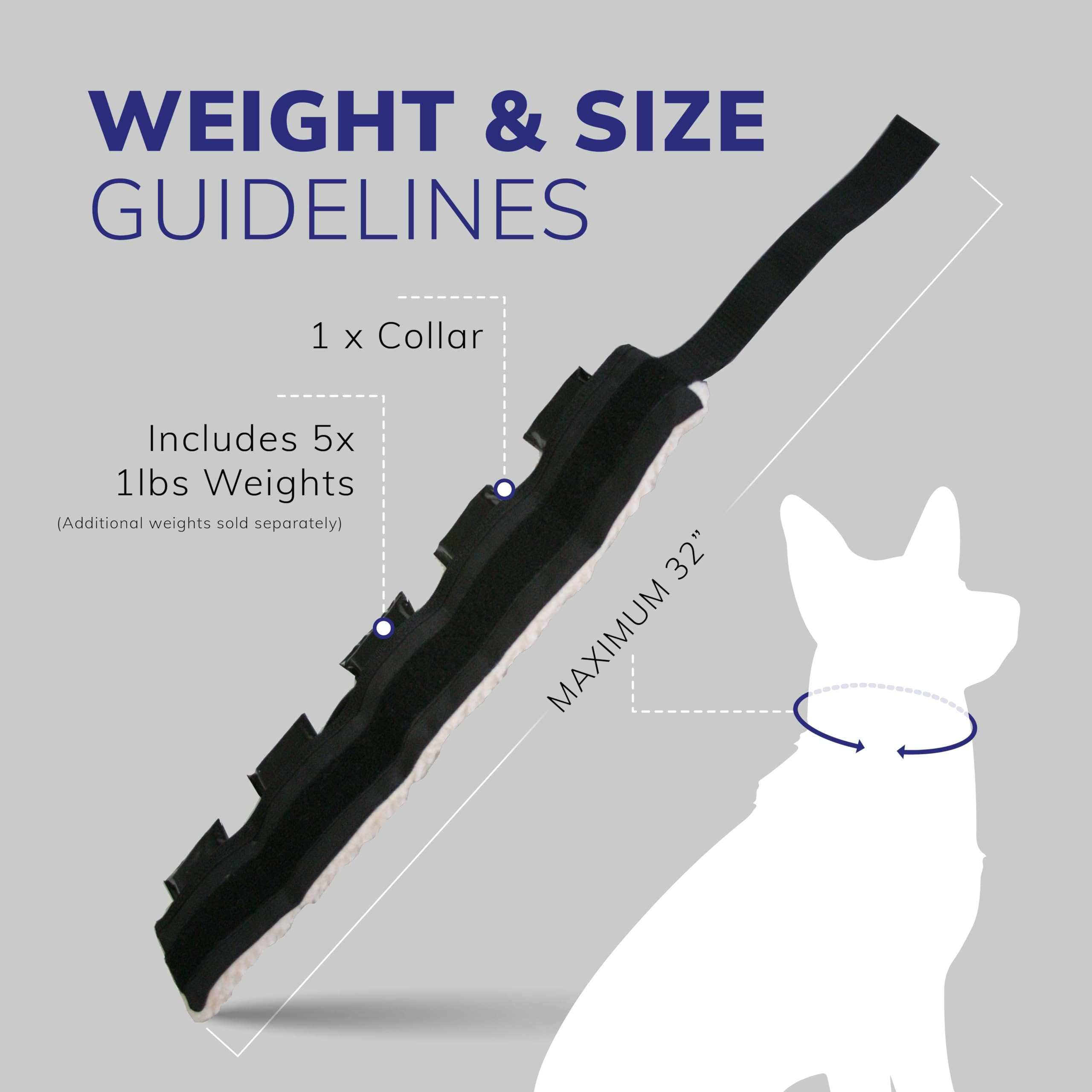 Weighted Dog Training Collar For Muscle Building, Tactical Training, Aggression & Weight Management - 5X1Lb Weights & Sheepskin Padded Dog Collar For K9, Bully, Bull Terrier & More