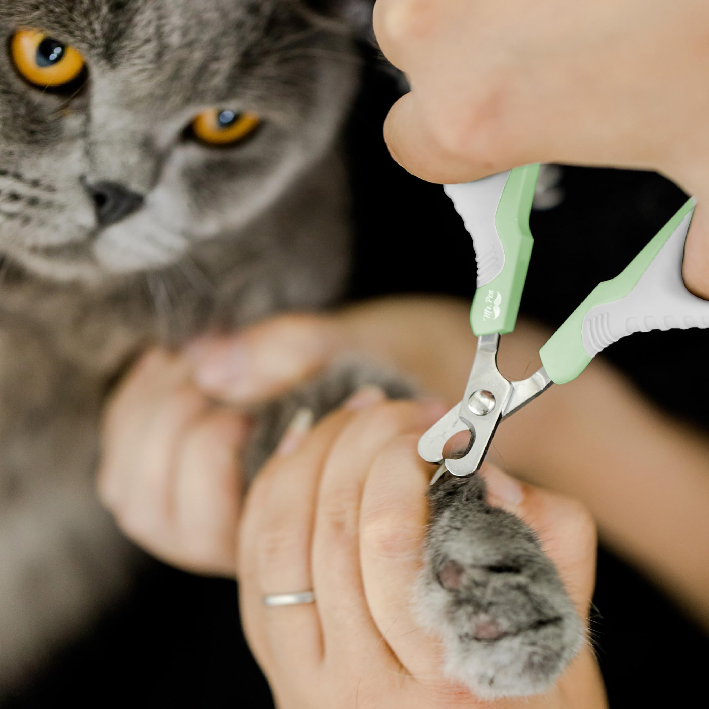 Mr. Pen- Cat Nail Clipper, Pastel Green, Cat Nail Trimmer, Cat Nail Clippers, Cat Claw Clippers, Cat Clippers For Nails, Pet Nail Clippers, Kitten Nail Clipper, Small Dog Nail Clipper Cat Claw Trimmer