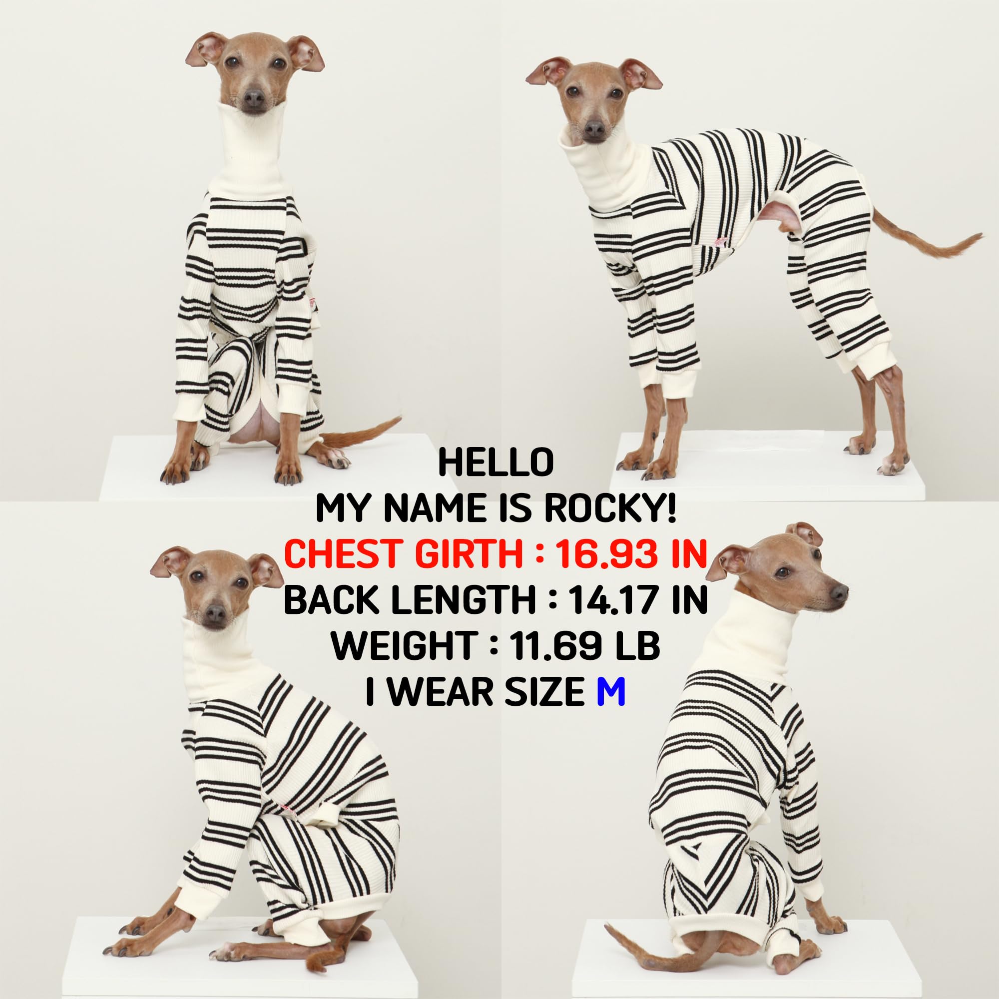 D Doggy Star Italian Greyhound Clothes Soft Stretchy Onesie Refined Stripe Outfit Whippet For Dog Coat (3Xl,Onsi Green Str)