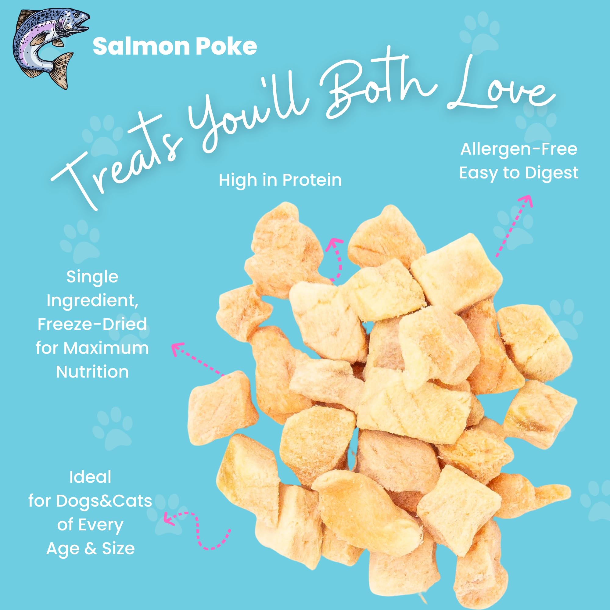 hotspot pets Freeze Dried Salmon Treats for Cats & Dogs -Made in USA-1LB Resealable Big Bag -Single Ingredient, High Protein, Al