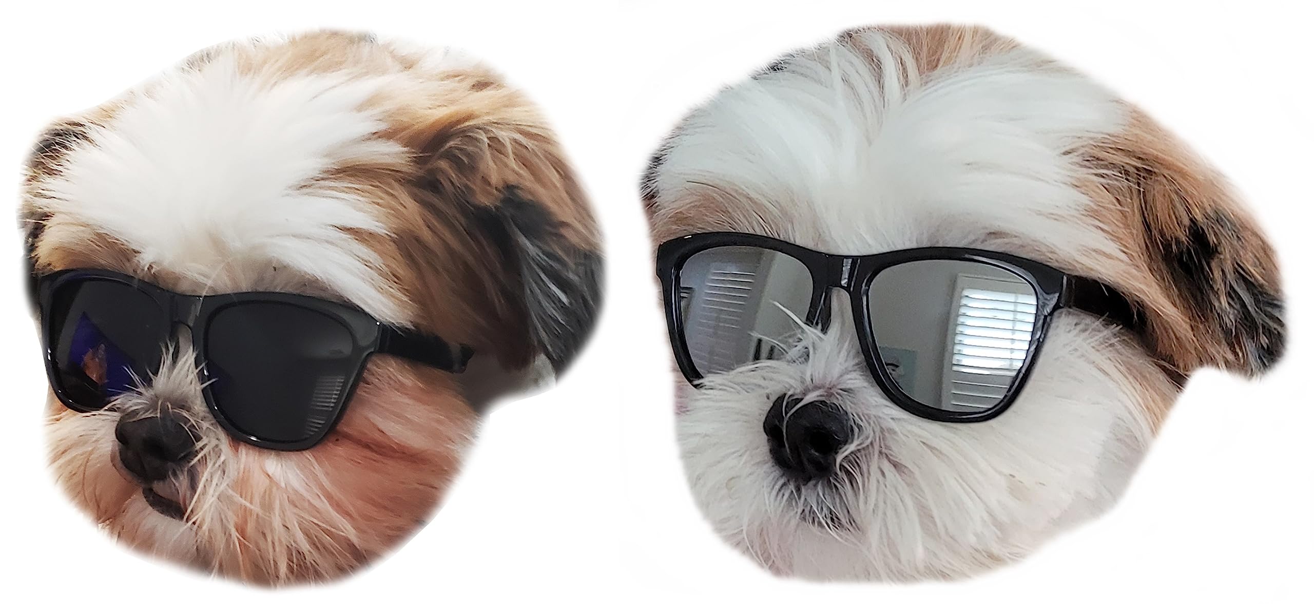 G014 Dog Cat Pet 80S Sunglasses Goggles For Small Breeds Up To 15Lbs (2-Pack Black+ Black-Mirror)