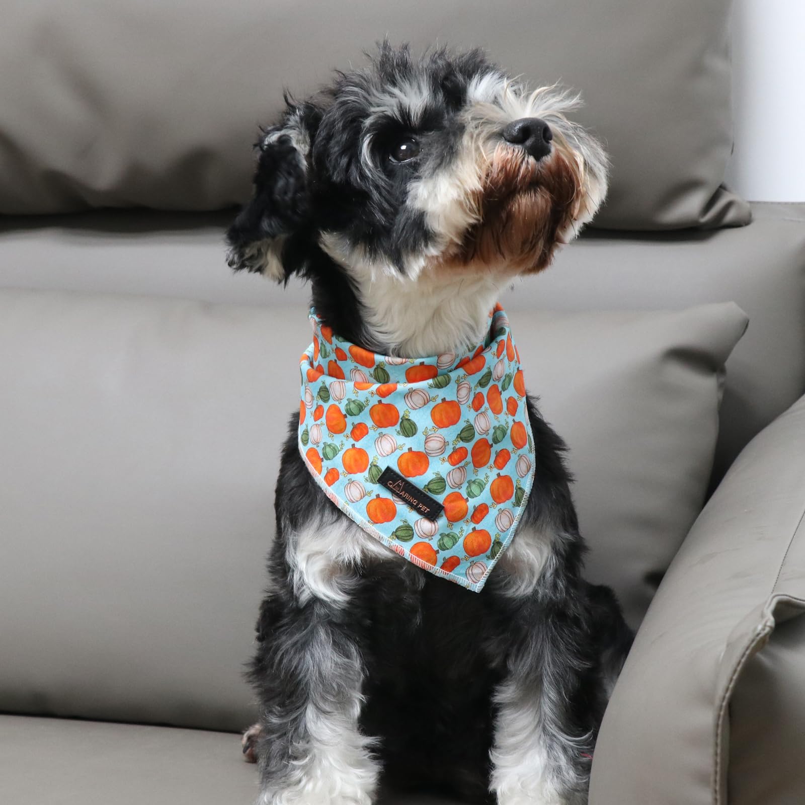Aring Pet Halloween Dog Bandana, Cotton Pumpkin Dog Bandanas, Soft Comfortable Halloween Pet Scarf Dog Triangle Bibs For Small To Large Dogs And Cats