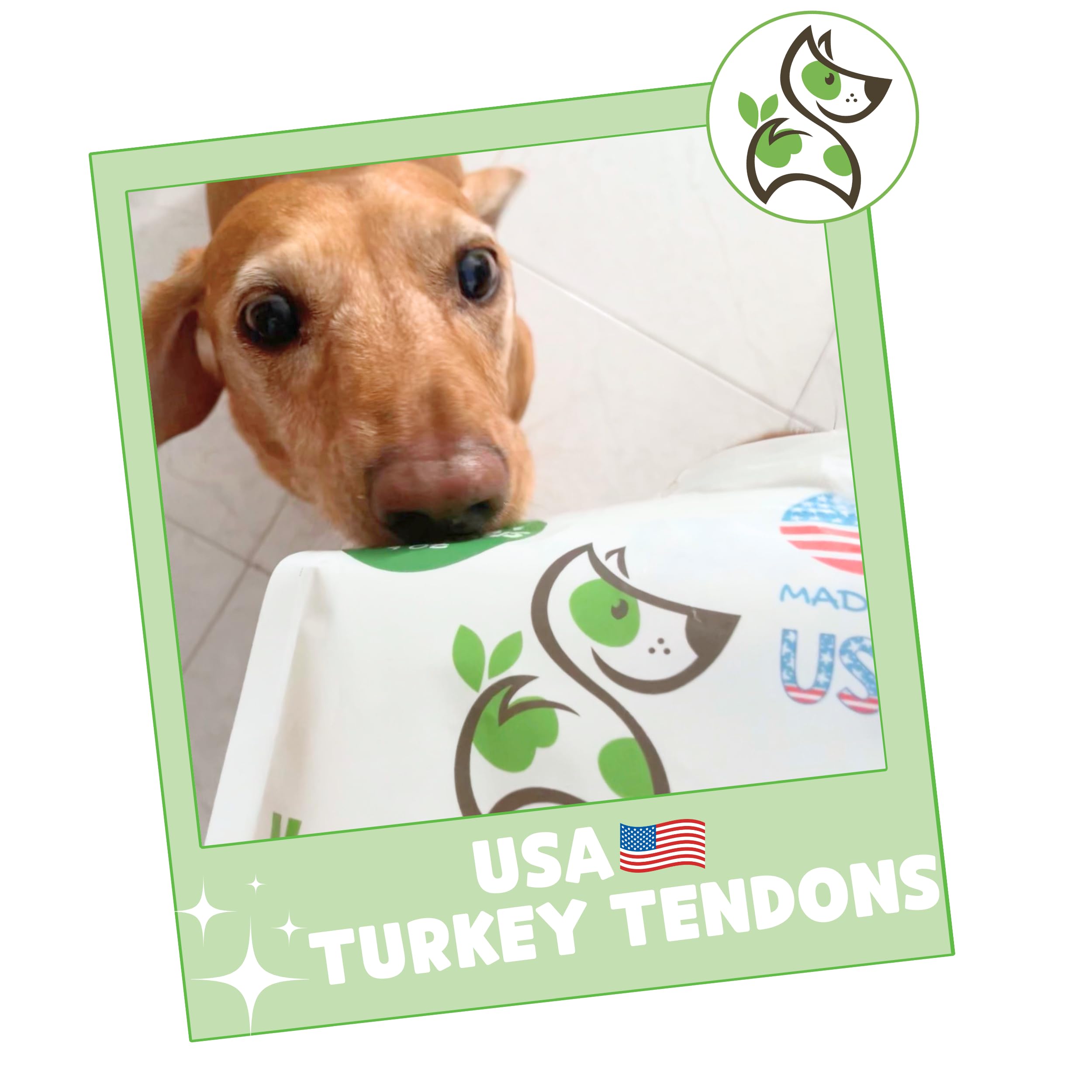 Nature Gnaws Turkey Tendons for Dogs - Grain Free Chew Treats, 8oz, Natural, Premium Quality