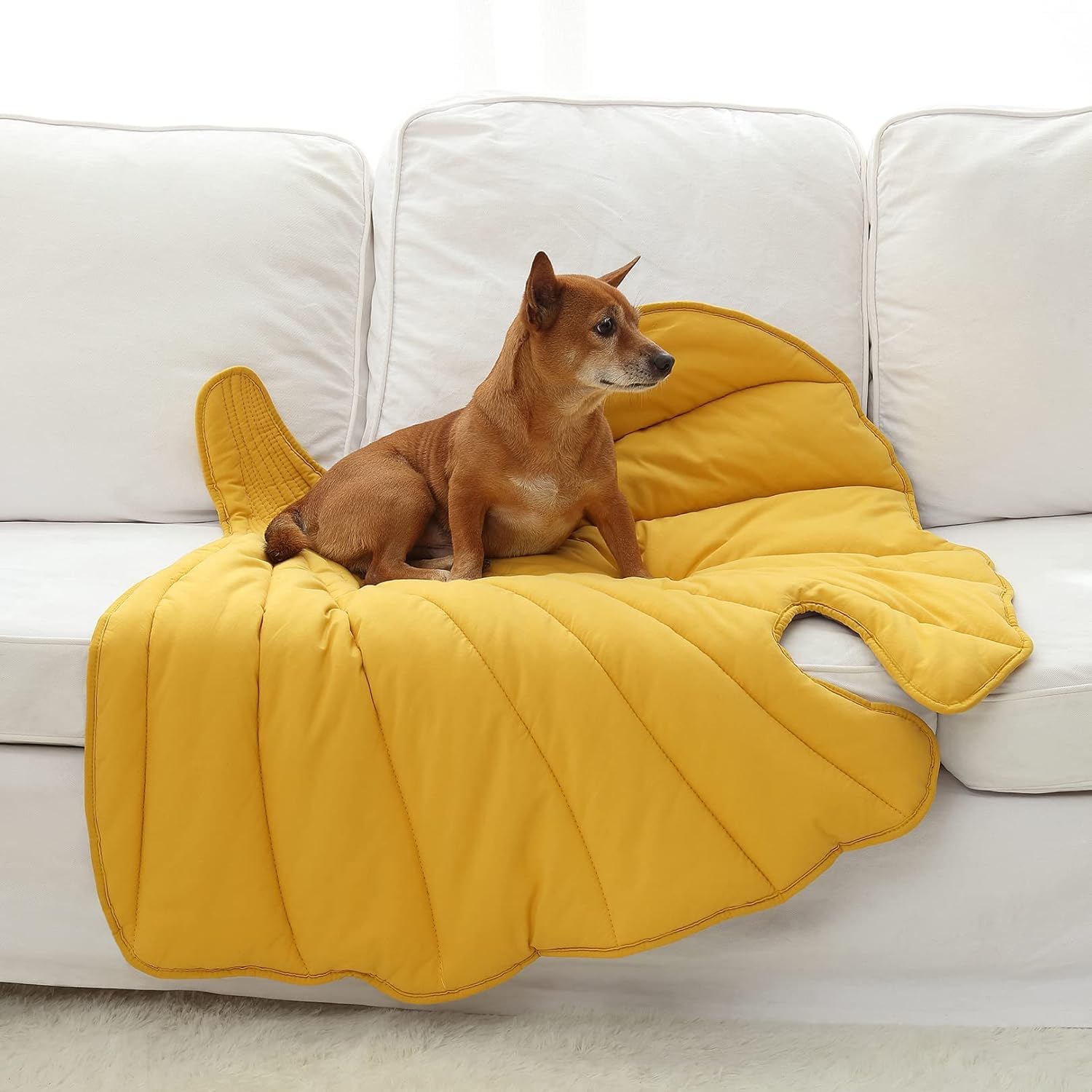 50X45 Inch Leaf Shaped Cotton Dog Blanket, Extra Large Pet Blanket For Small Medium Large Dogs, Machine Washable Puppy Mat For C