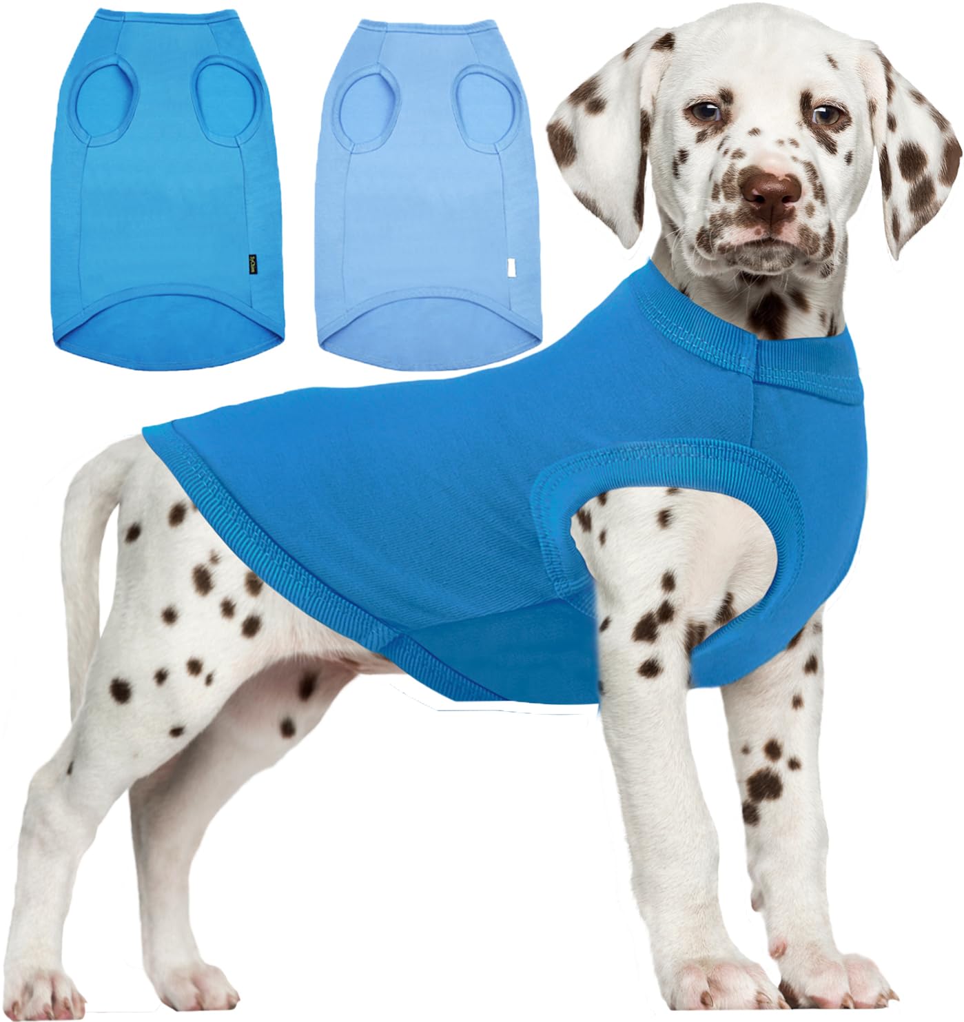 Sychien Dog Blank Blue Shirt,Boy Girl Dogs Large Tee Shirts,Plain French Bulldog T-Shirt,L Blue Royal