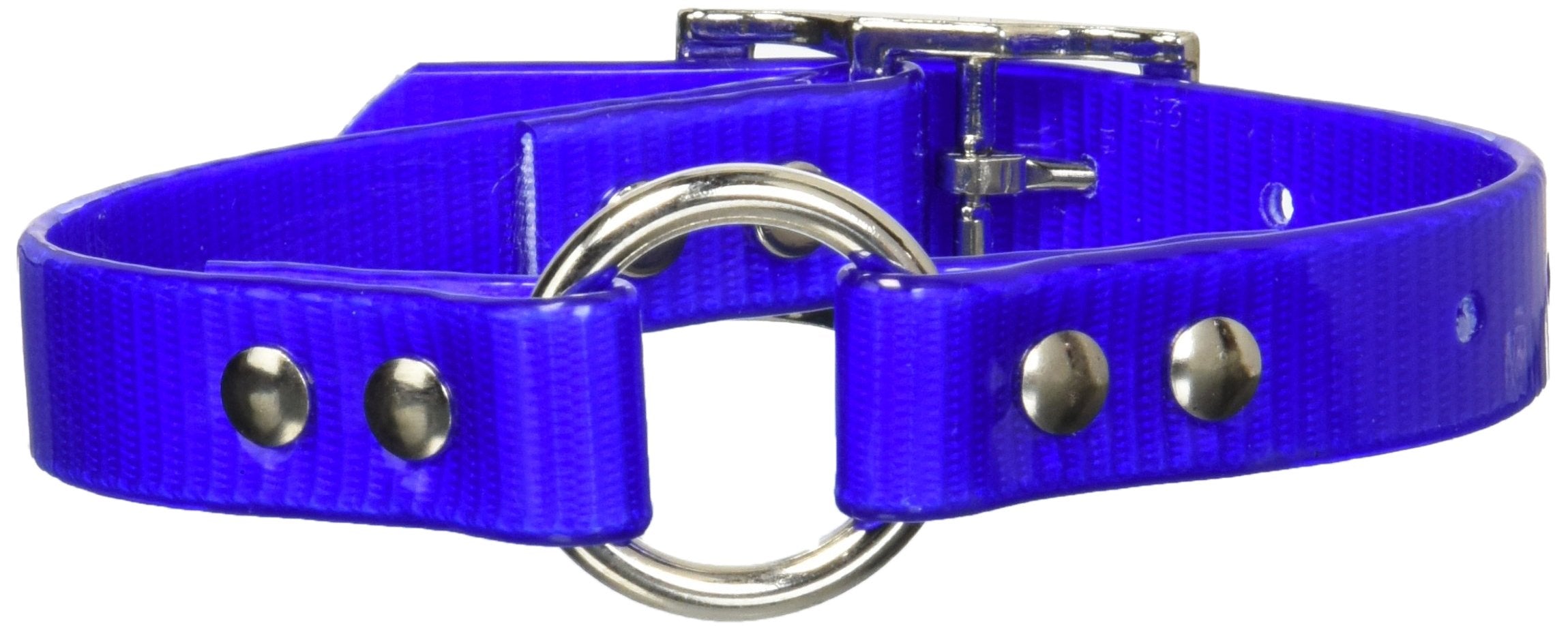 Omnipet Sunglo Ring-In-Center Dog Collar, 3/4' Wide, Blue, Fits 9'- 12.5' Neck Sizes, Vibrant Colors & Tough Construction For
