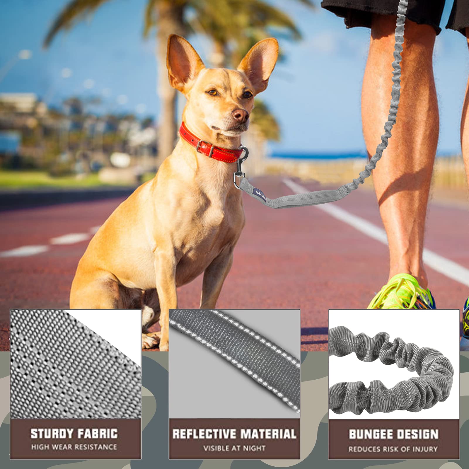 Auroth Heavy Duty Dog Leash For Large Breeds, Bungee No Pull Leash With Shock Absorption, 6Ft With 2 Padded Handles