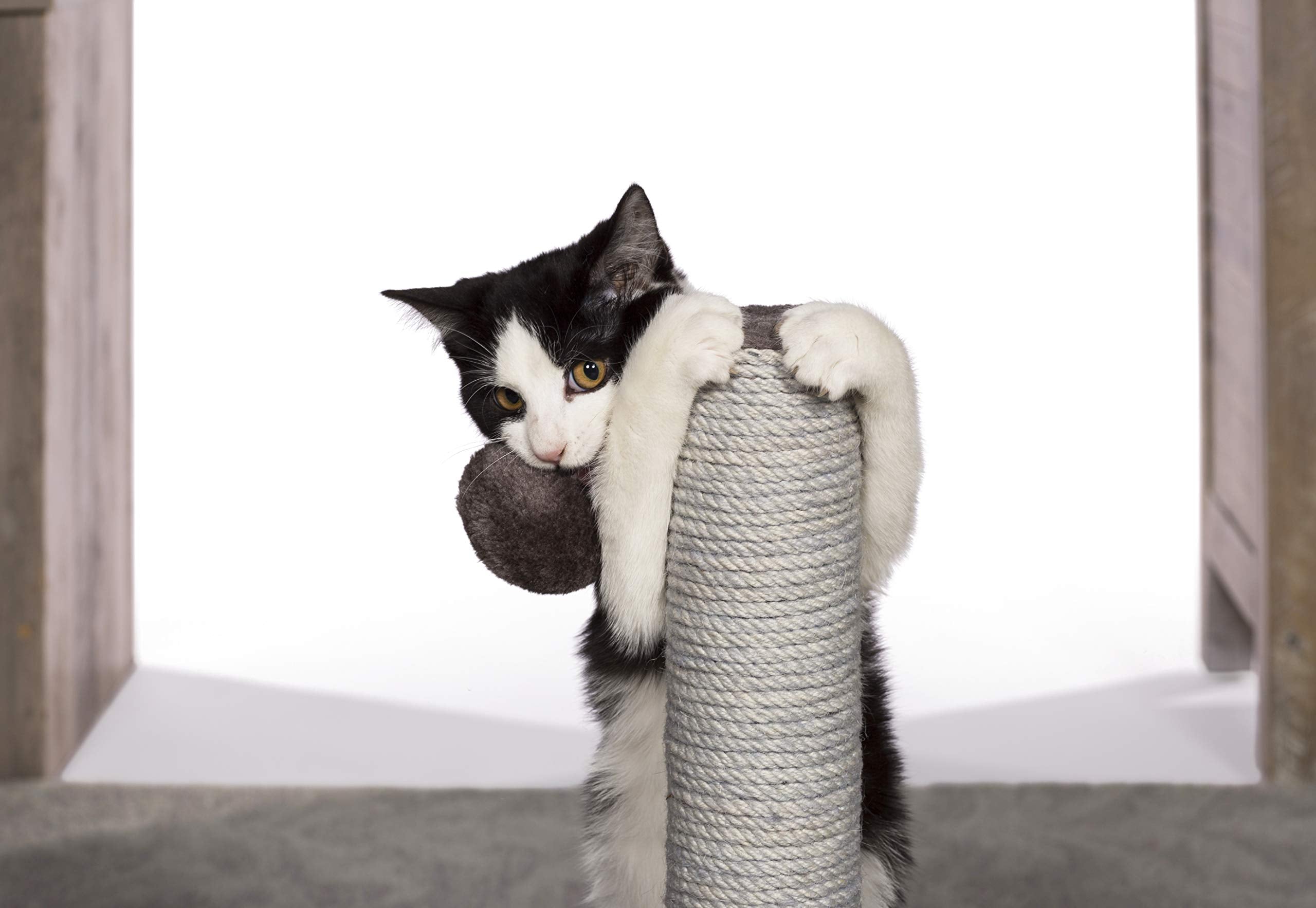 Prevue Pet Products Kitty Power Paws Play & Scratch 7151 - Gray - 11.625x11.625x20.5