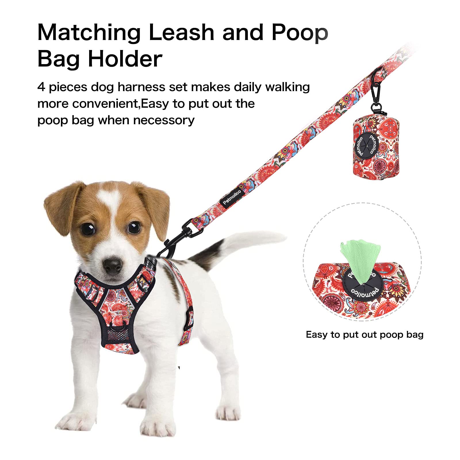 Petmolico No Pull Dog Harness Set with Leash Attachment Easy Control Handle Reflective Harness Vest Small Breed, Puppy Vest and