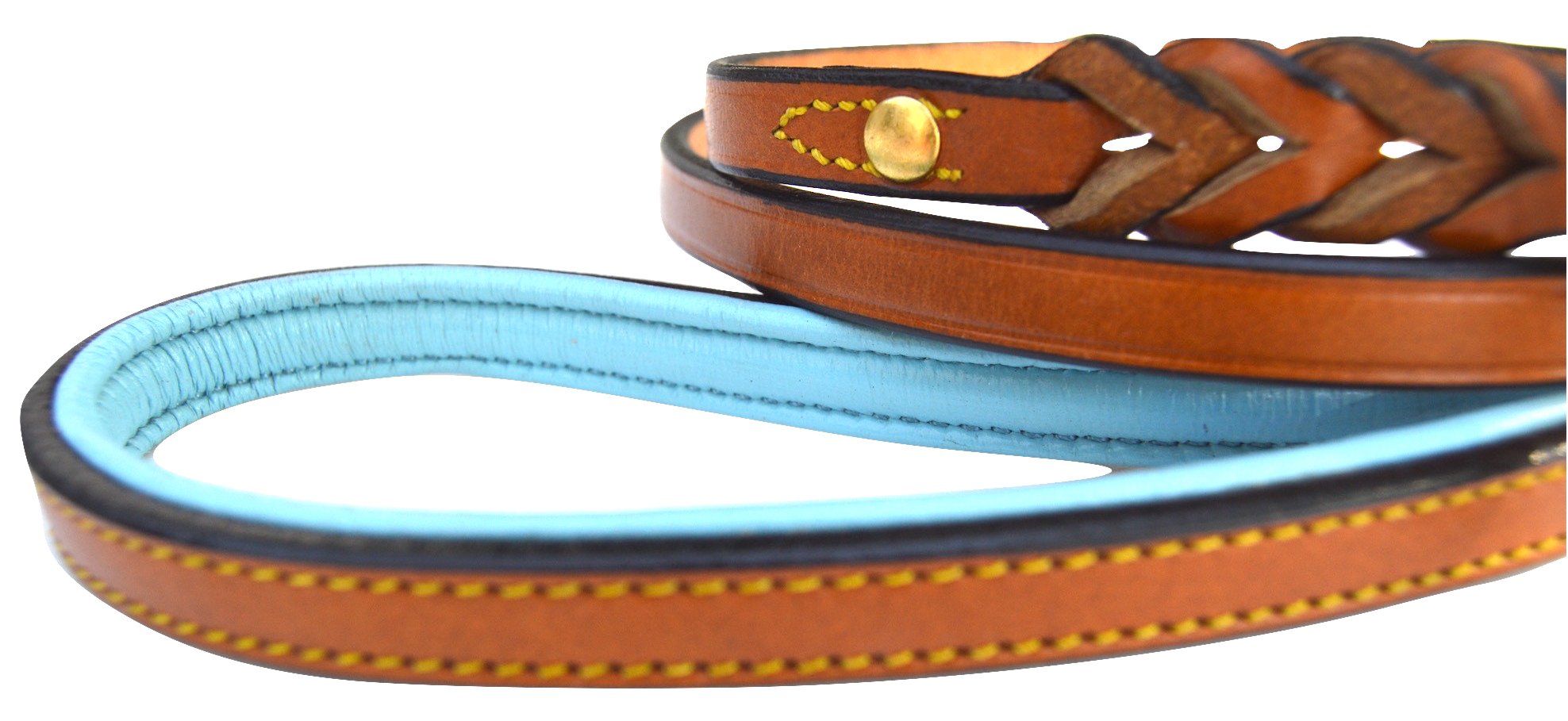 Soft Touch Collars Leather Braided Dog Leash, 4ft x 1/2in, Tan with Teal Padded Handle for Small Dogs