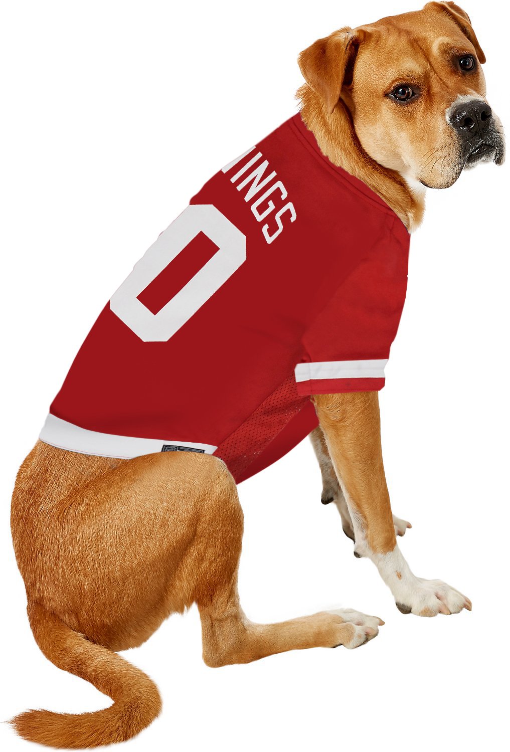 Pets First NHL Detroit Red Wings Jersey for Dogs & Cats, Large. - Let Your Pet Be A Real NHL Fan!