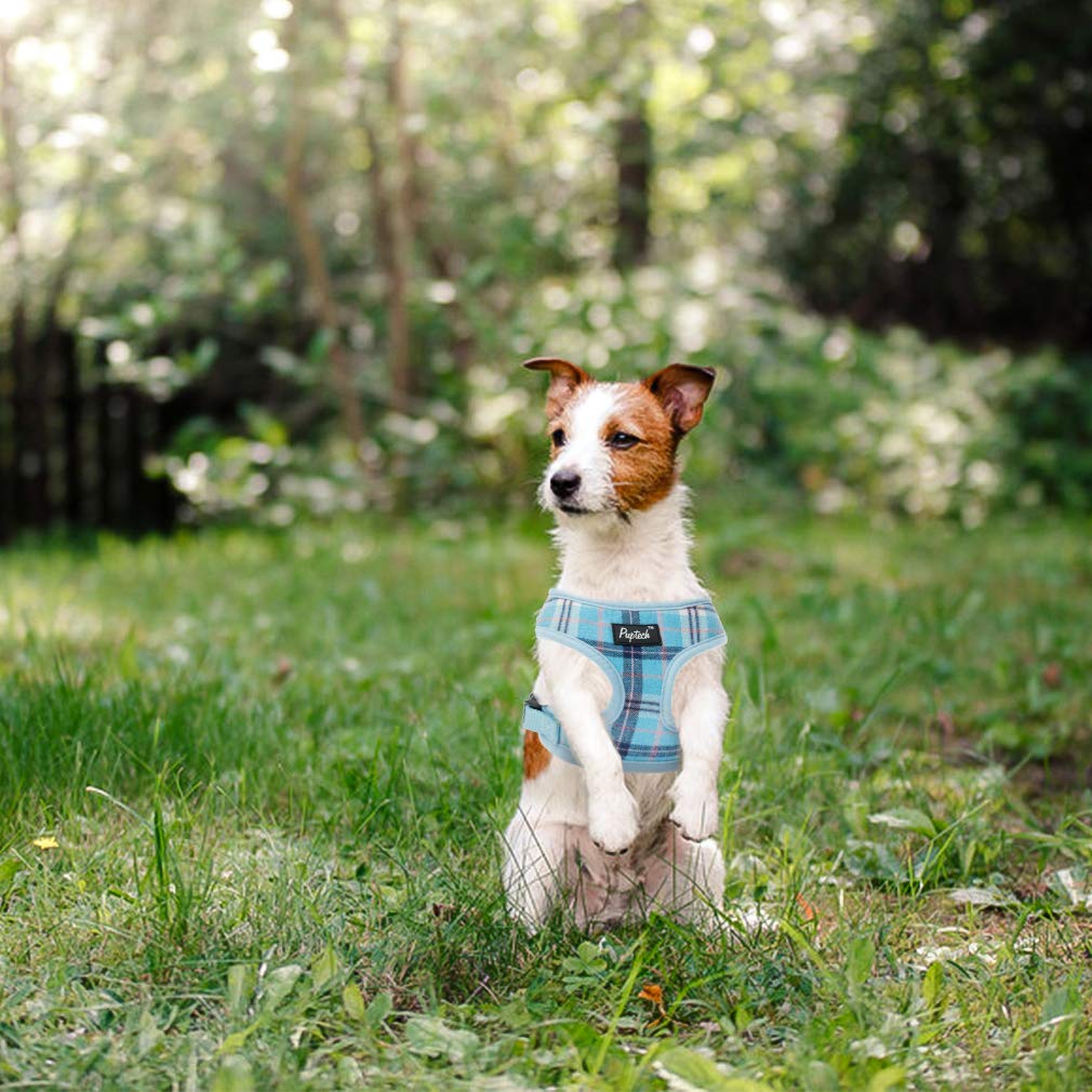 Pupteck Soft Mesh Dog Harness And Leash Set Pet Puppy Cat Comfort Padded Vest No Pull Harnesses, Light Blue, Xs