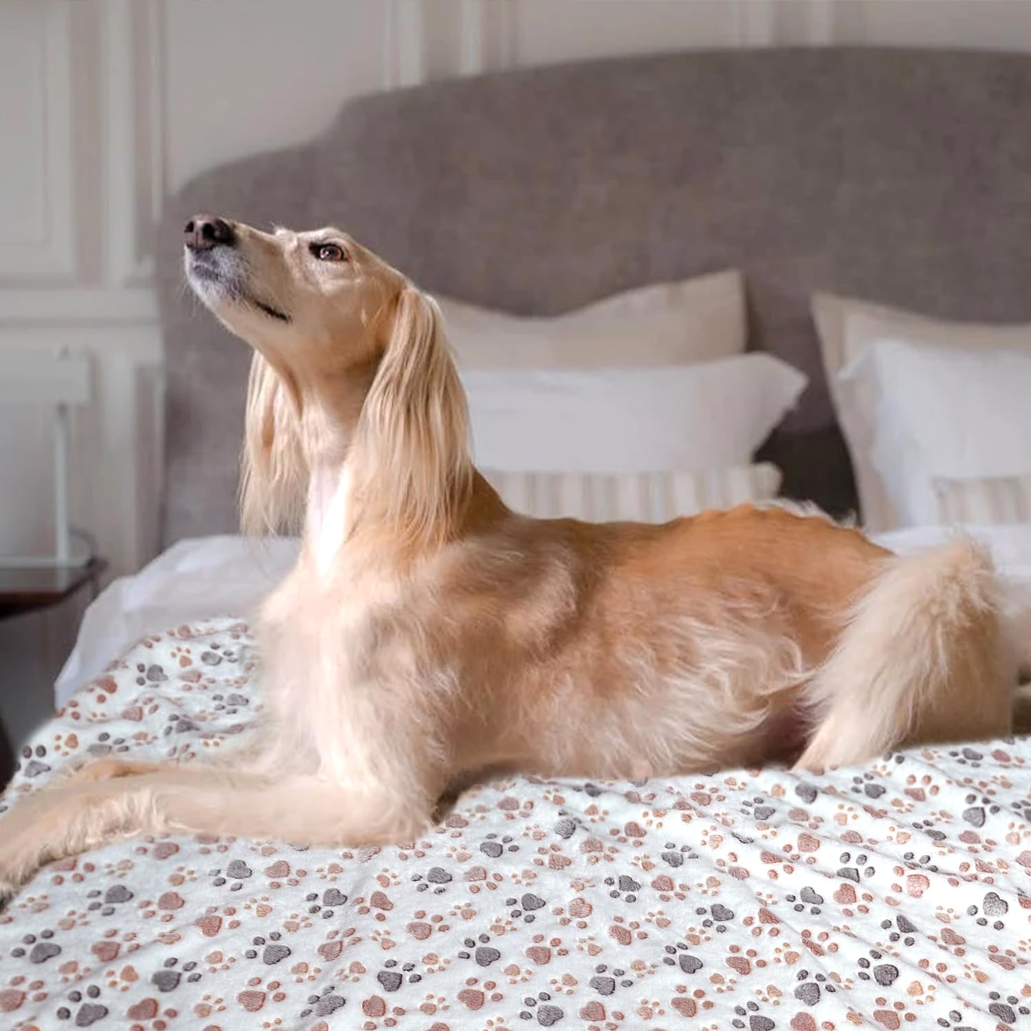 Dog Blankets For Medium Large Dogs Washable, 3 Pack Pet Blanket Washable 41'' X 31'', Fuzzy Soft Puppy Throw Cover For Kennel Cr