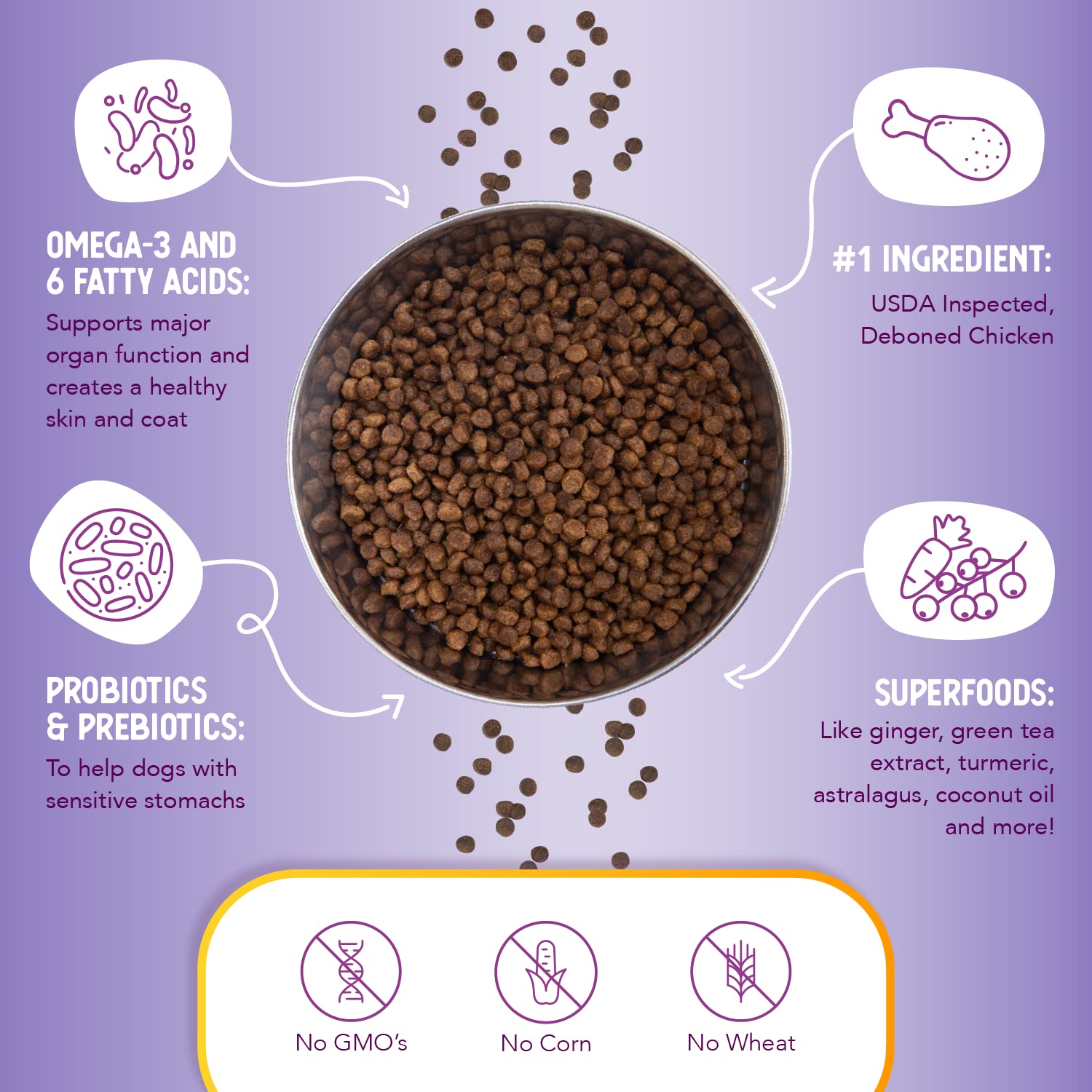 Health Extension Little Bites Chicken & Brown Rice Dry Dog Food (1 lb / 0.45 kg) - Natural with Probiotics and Superfoods for Te