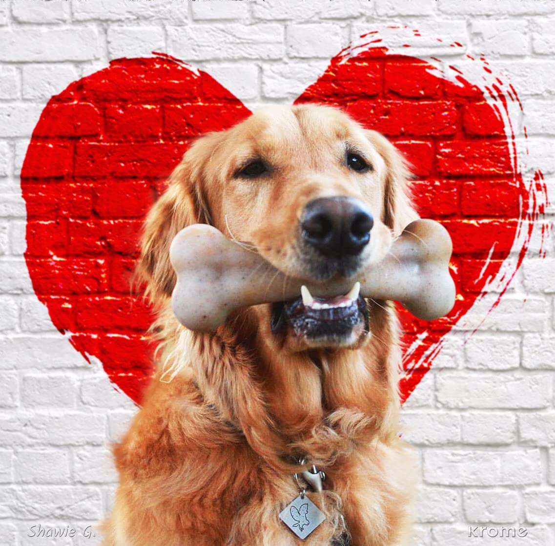 Pet Qwerks Dinosaur Barkbone - Nylon Dog Bone For Aggressive Chewers - Steak Flavor - 8.25'