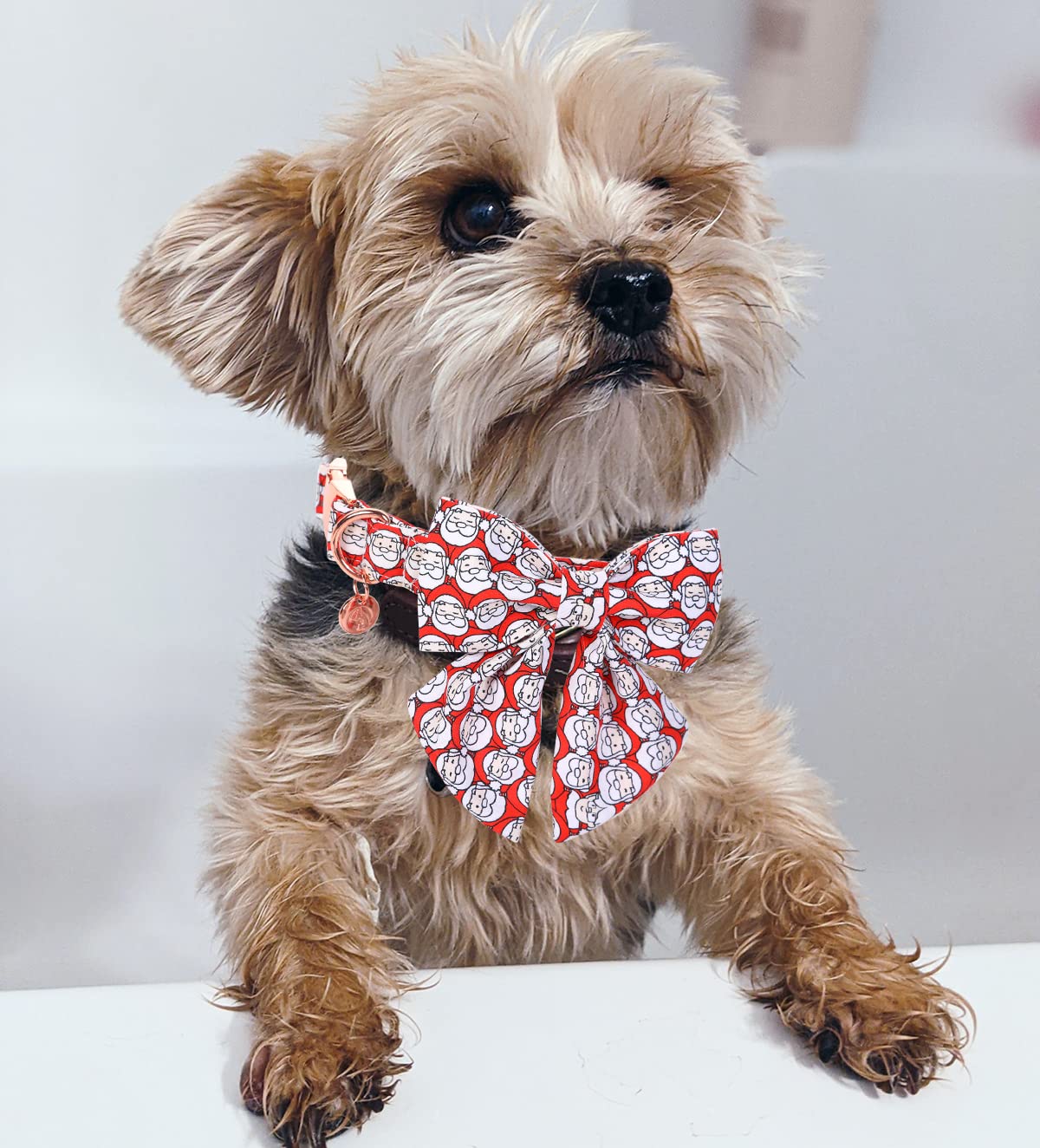Dogwong Christmas Dog Collar Red Santa Claus Dog Collar With Bowtie For Small Medium Large Dog, Christmas Dog Gift