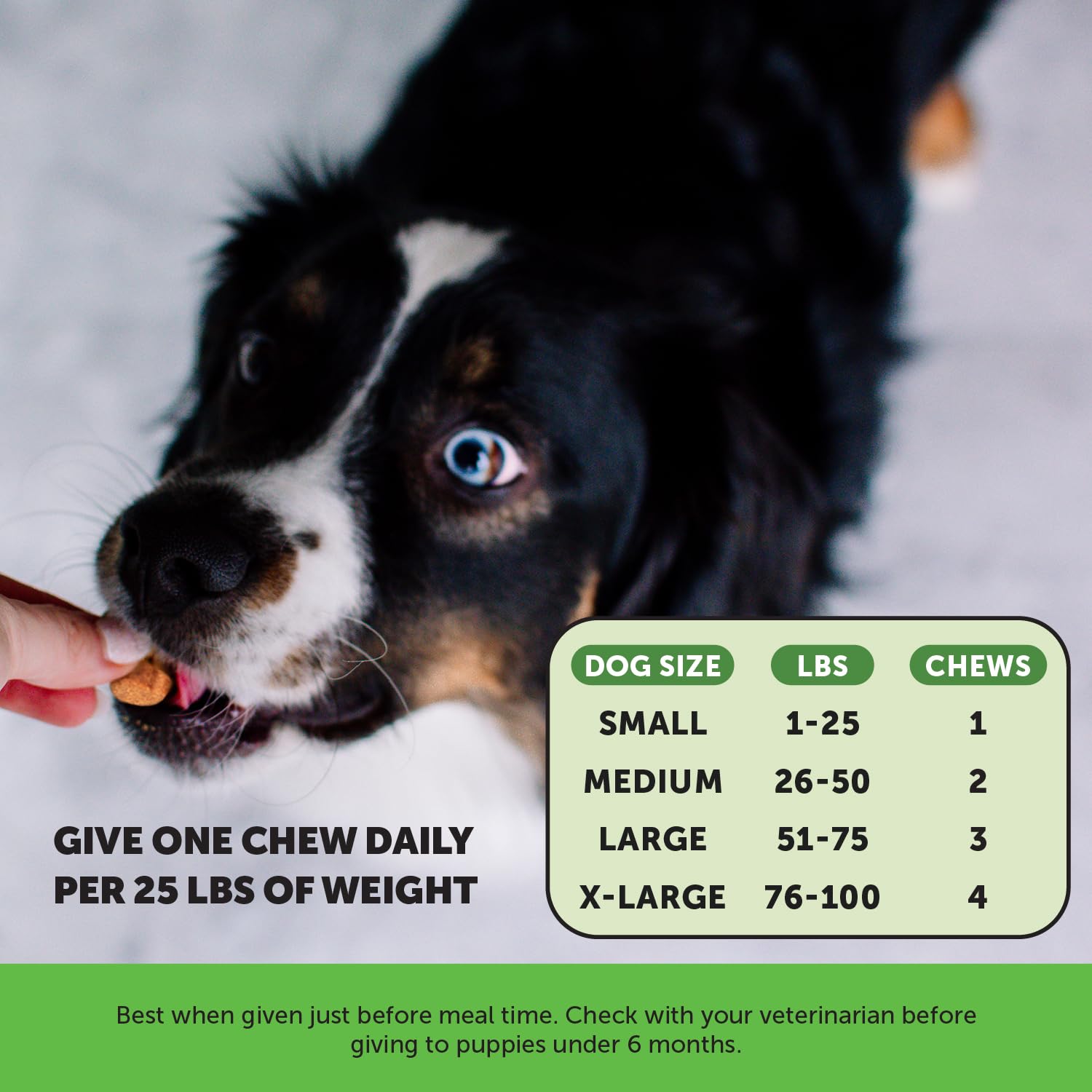 Pet Honesty Grass Green - Pee Grass Spot Saver Caused by Dog Urine, Gut Health Probiotics, Dog Urine Neutralizer for Lawn, Grass