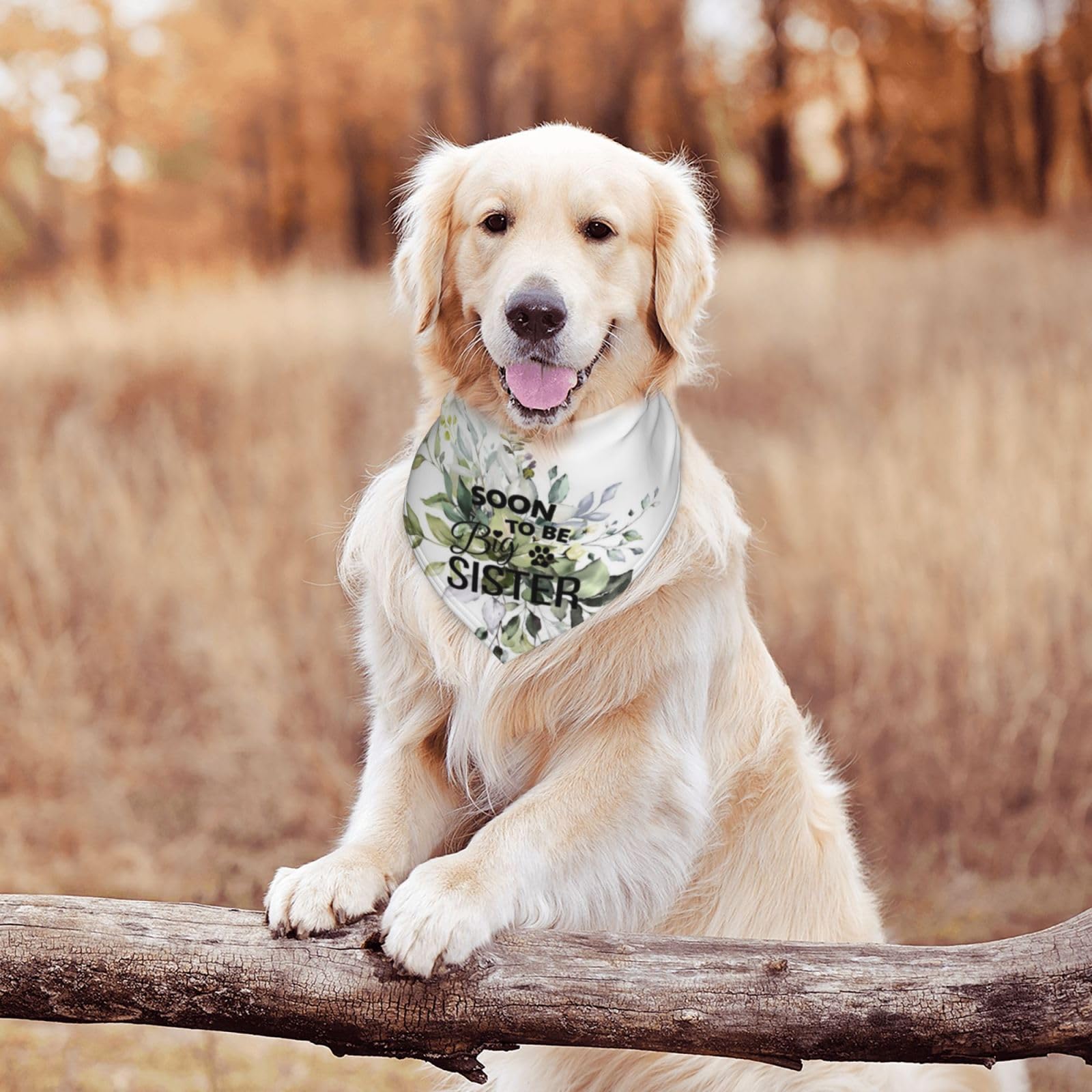 Soon To Be Big Sister Dog Bandana Scarf Triangle Bibs Pet Accessories Cat Kerchief
