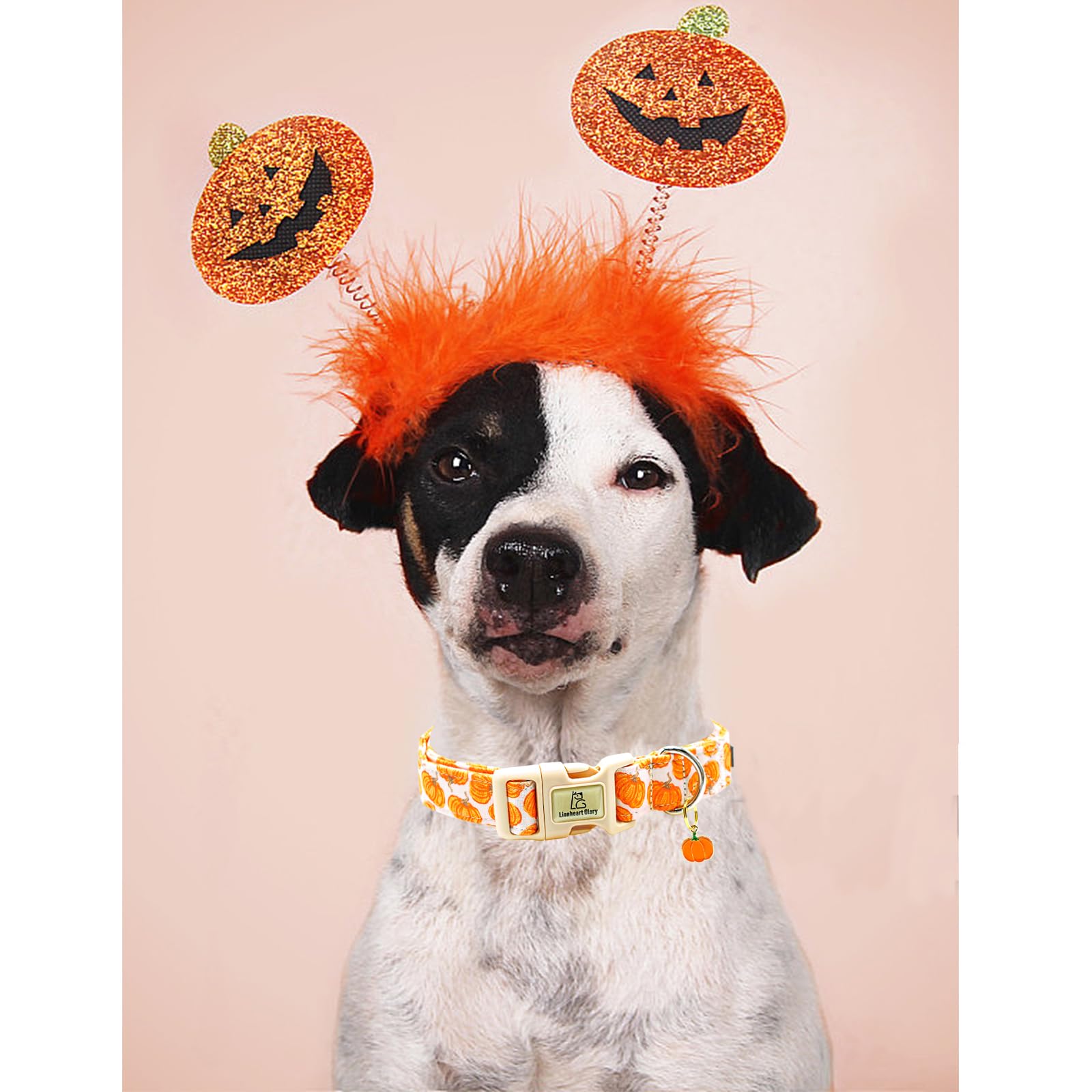 Lionheart Glory Halloween Dog Collars Pumpkin Pink Dog Collars Heavy Duty Adjustable Fall Collar For Small Collar Dogs Female Or