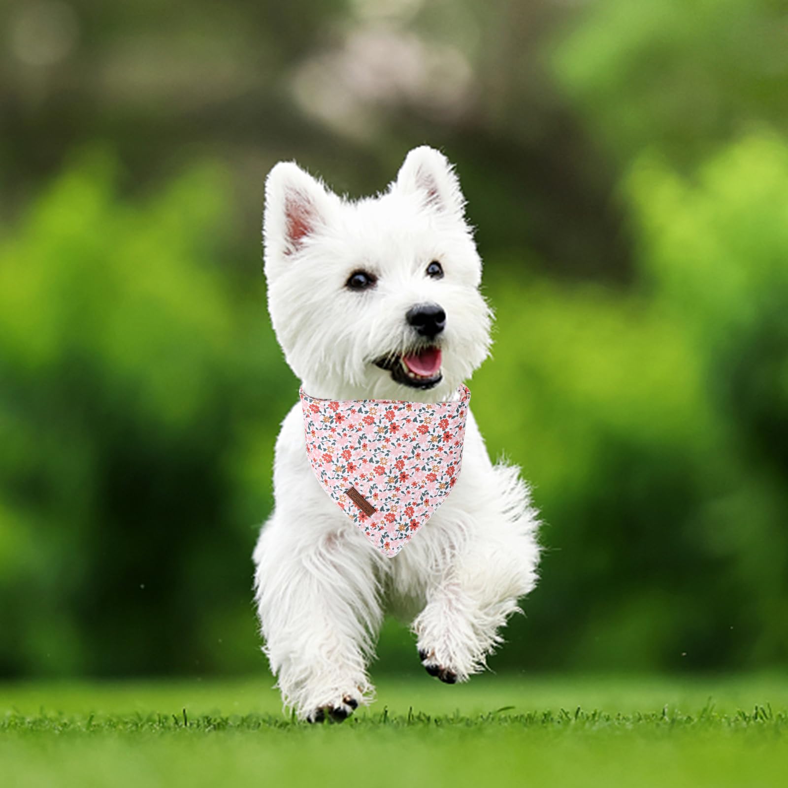 Summer Dog Bandana, Up Urara Pup Orange Bandana For Small Large Dogs, Cotton Handkerchief Cute Little Flower Puppy Triangle Bid