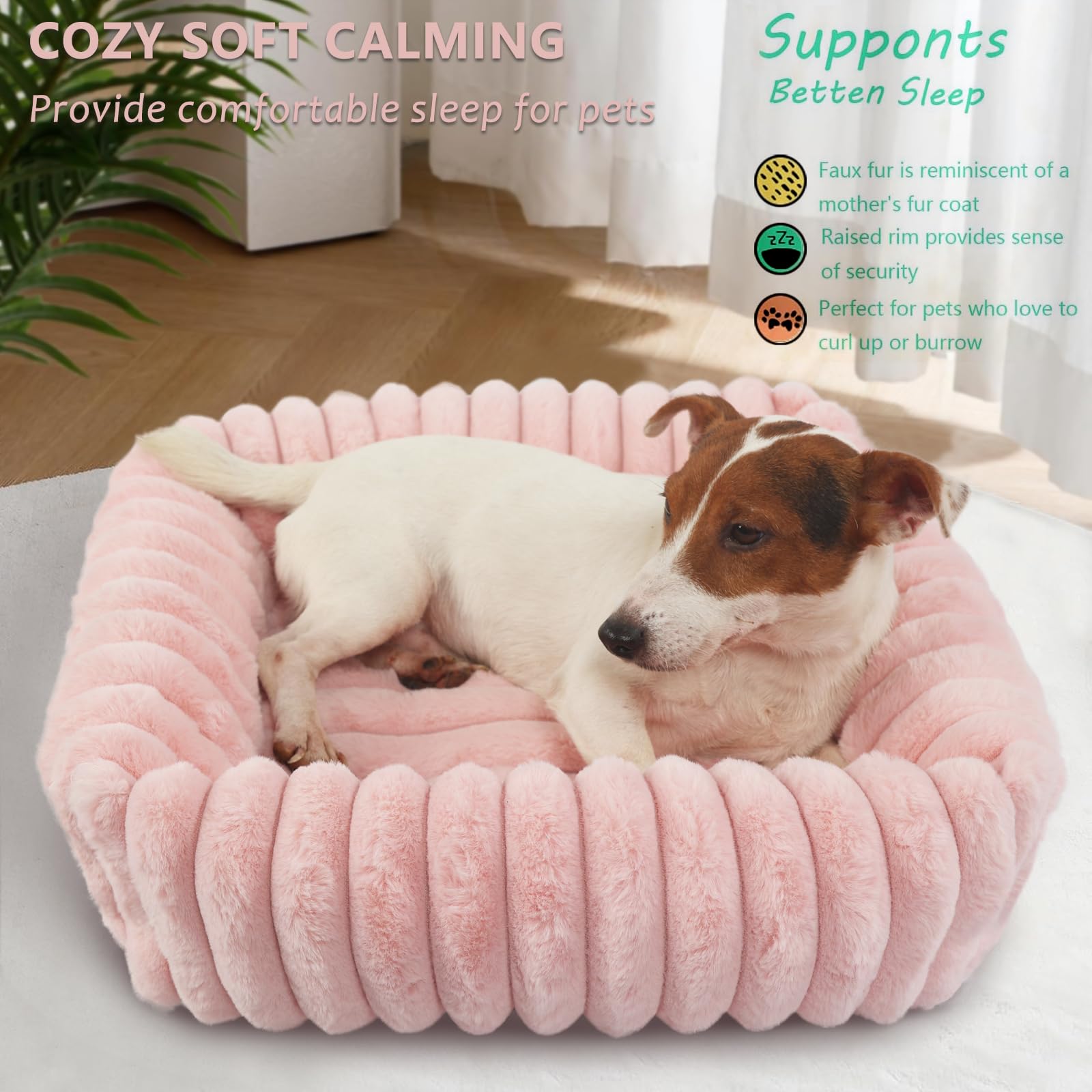 Cute Small Dog Beds For Small Dogs Girl And Cats Washable,Rectangle Cat Bed With Sides Orthopedic Soft Cozy Calming Sleeping Pup