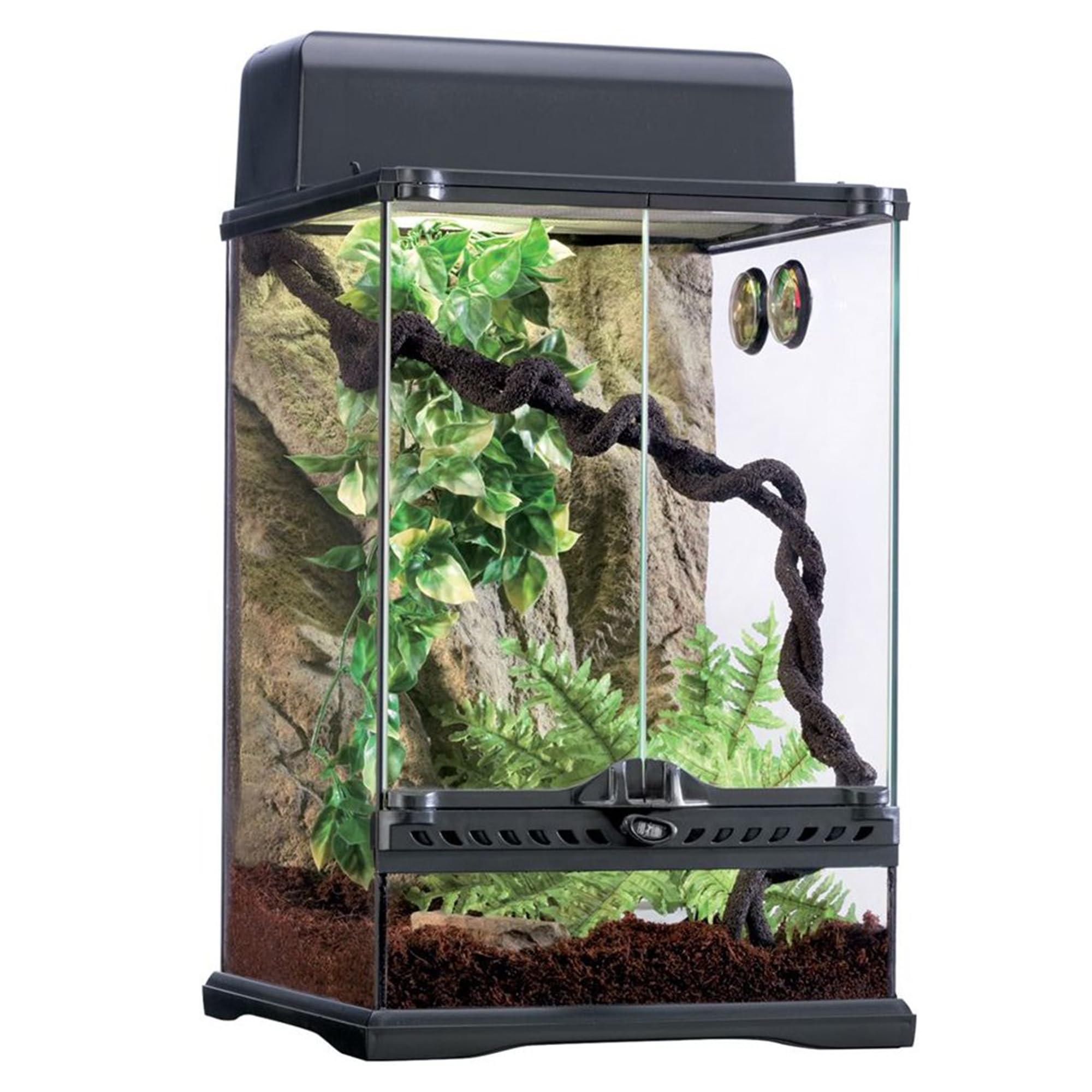 Exo Terra Rainforest Habitat Kit For Reptile, Glass (Includes Pt2602) - Small