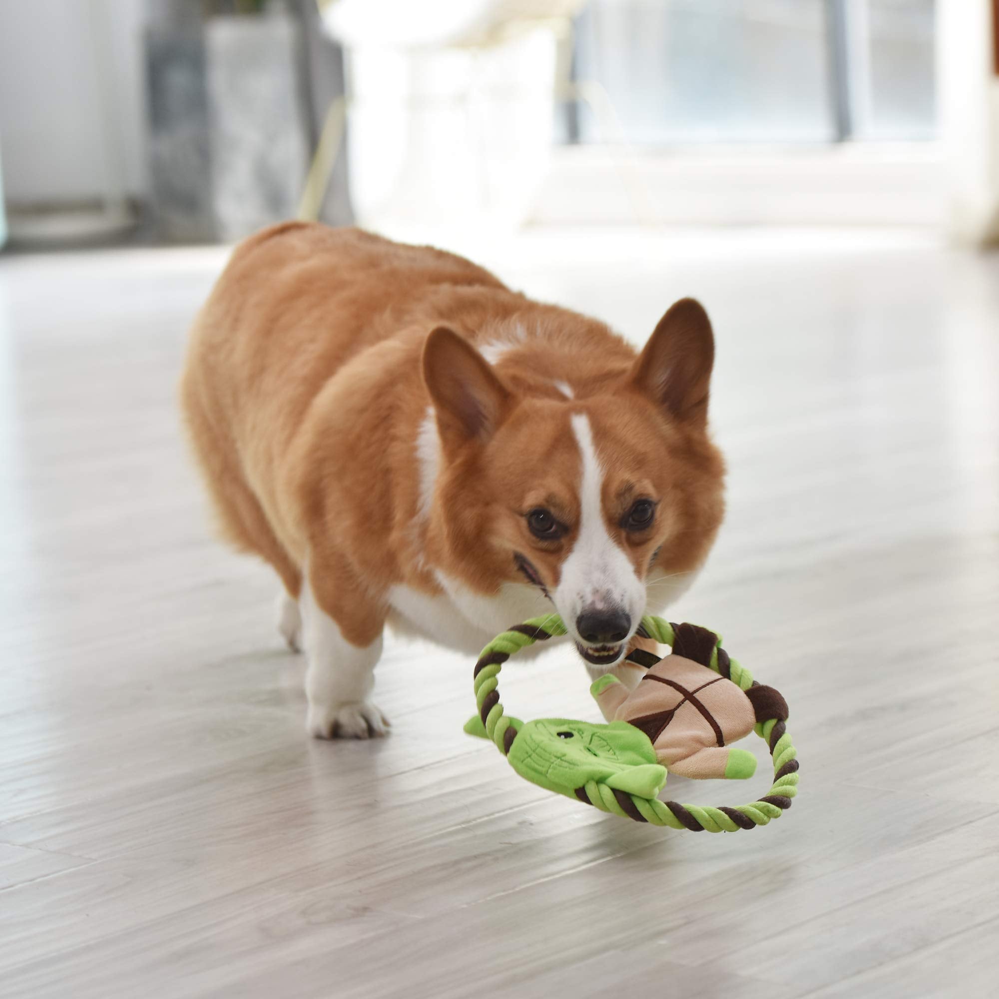 Star Wars For Pets Plush Yoda Rope Frisbee Dog Toy | Green Fetch Toys For Dogs | Plush Dog Toy, Chew Dog Toy, Squeaky Dog Toy Officially Licensed From Star Wars