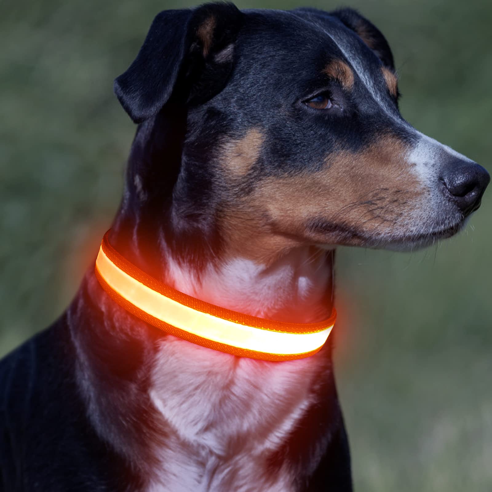 Vizpet Led Dog Collar, Light Up Dog Collar Adjustable Usb Rechargeable Super Bright Safety Light Glowing Collars For Dogs(X-Large,Orange)