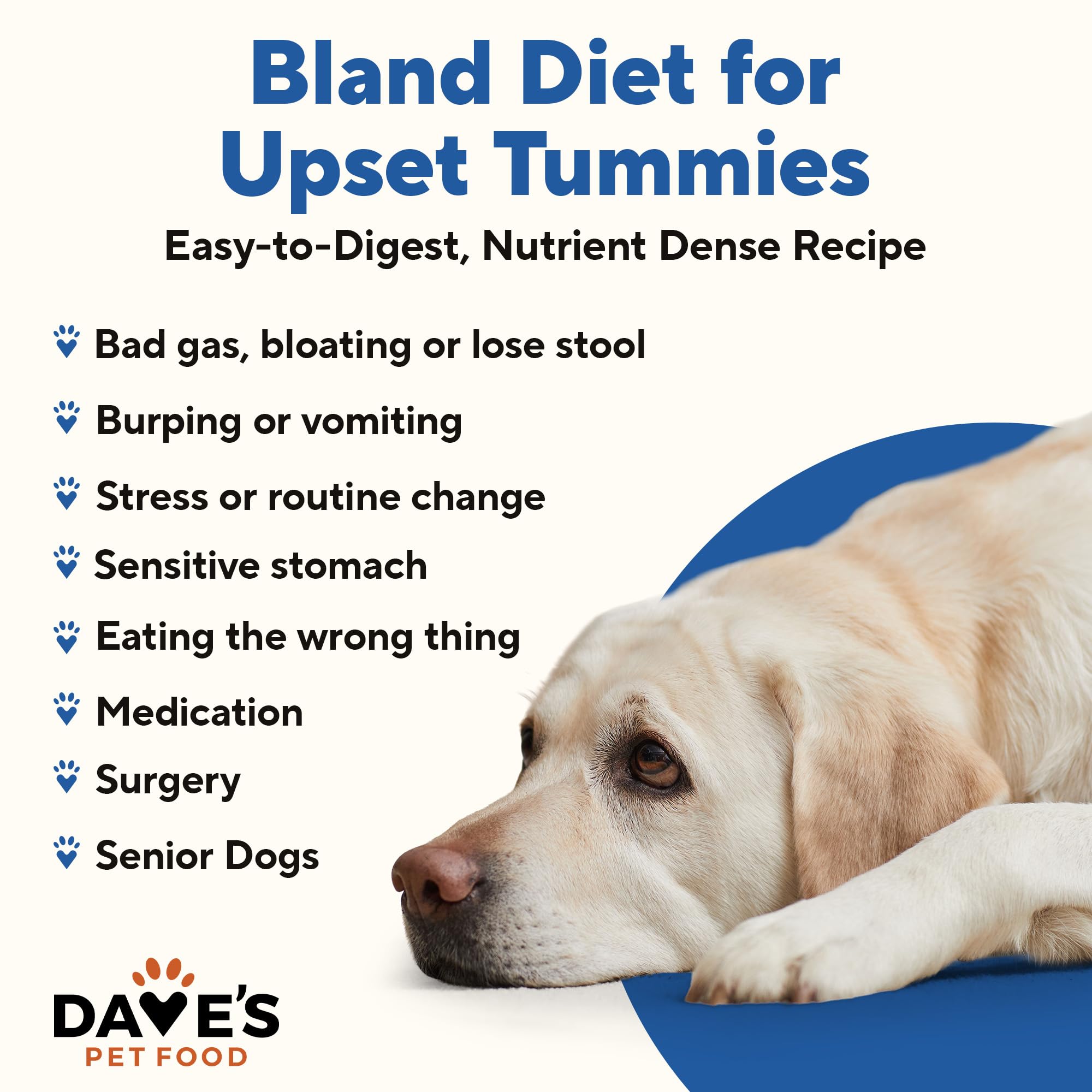 Daves Pet Food Bland Diet Dog Food (Chicken & Rice), Sensitive Stomach, Easy to Digest, Gluten-Free, Digestive Care, Wet Canned