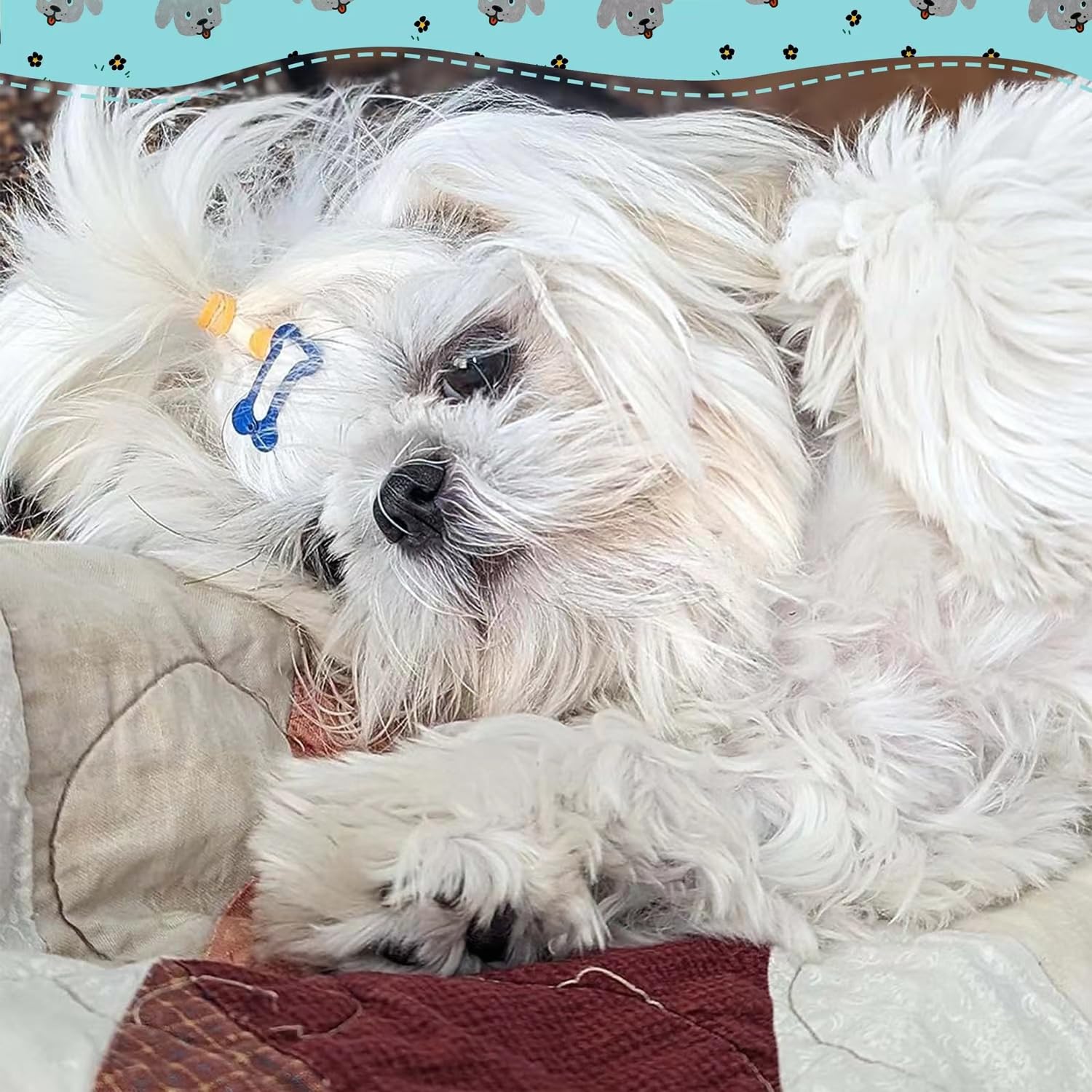 Rimobul 1' Mini Pet Hair Clip - Rimobul 50 Pieces Dog Hair Clips Bone Shaped Snap Pet Hair Barrettes Multicolor Small Snap Hair Clips Puppy Hair Accessories For Yorkie Puppy Pet 25 Styles