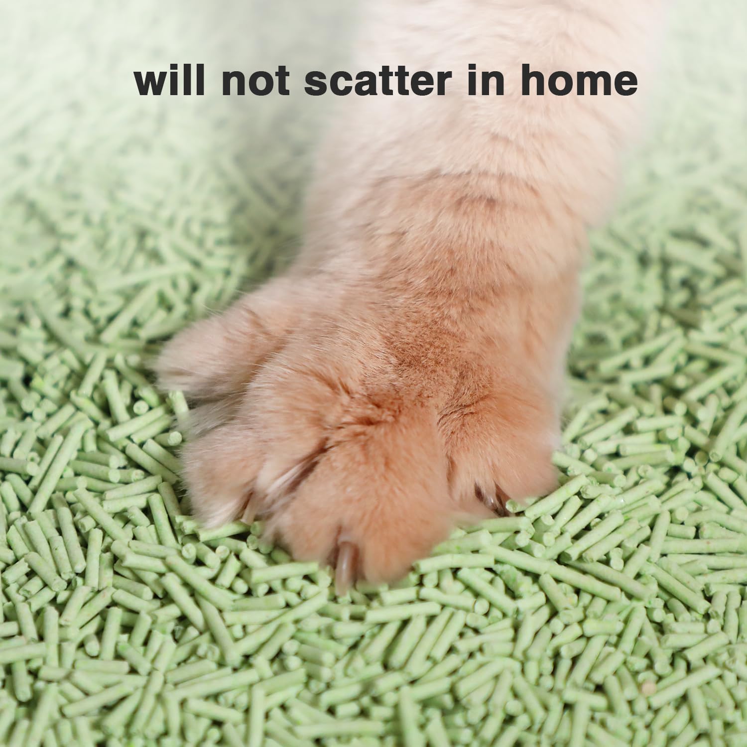 DI BI GRAMAS Cat Litter 24LB/4 Packs Dust-Free Clumping Tofu Cat Litter Quickly Absorb Odors Toilet Can Flush Into The Toilet Pu