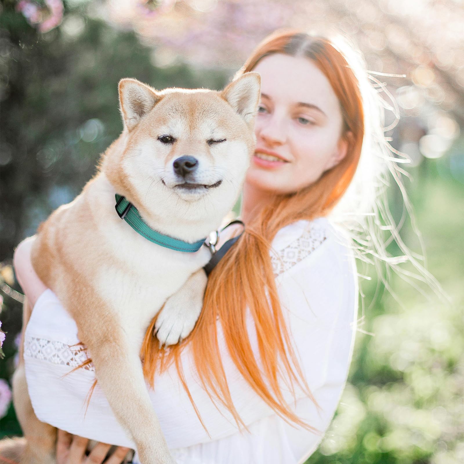 Roses&Poetry Large Dog Collar, Adjustable Reflective Durable Pet Collars For Small Medium Large Dogs (Bluegreen-L)