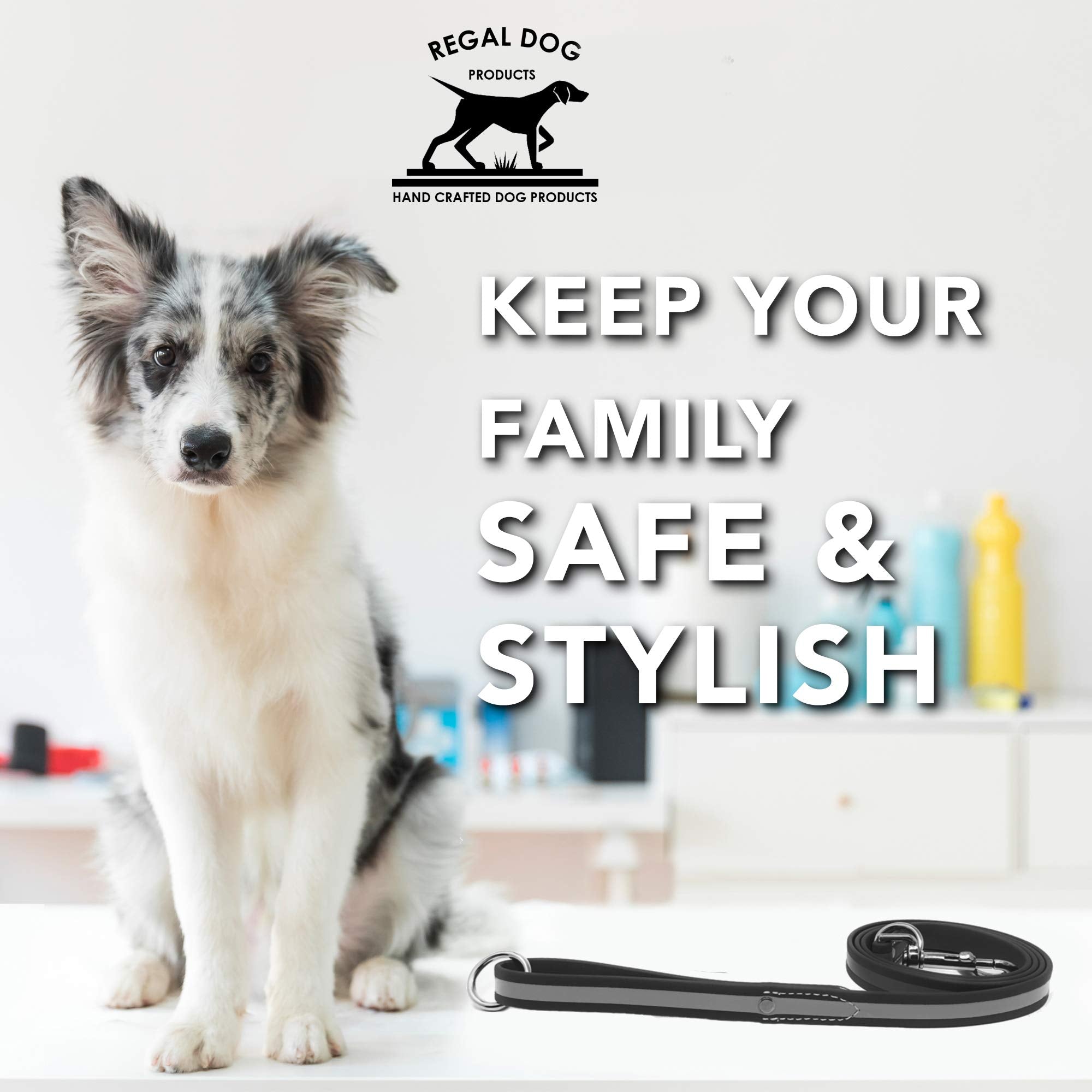 Regal Dog Products Reflective Leash – 5 Ft. Dog Leash With Easy To Use Collar Hook, Lightweight, And Proof Training Pet Lead For Small, Medium, Large, Or Xl Dogs (Black)