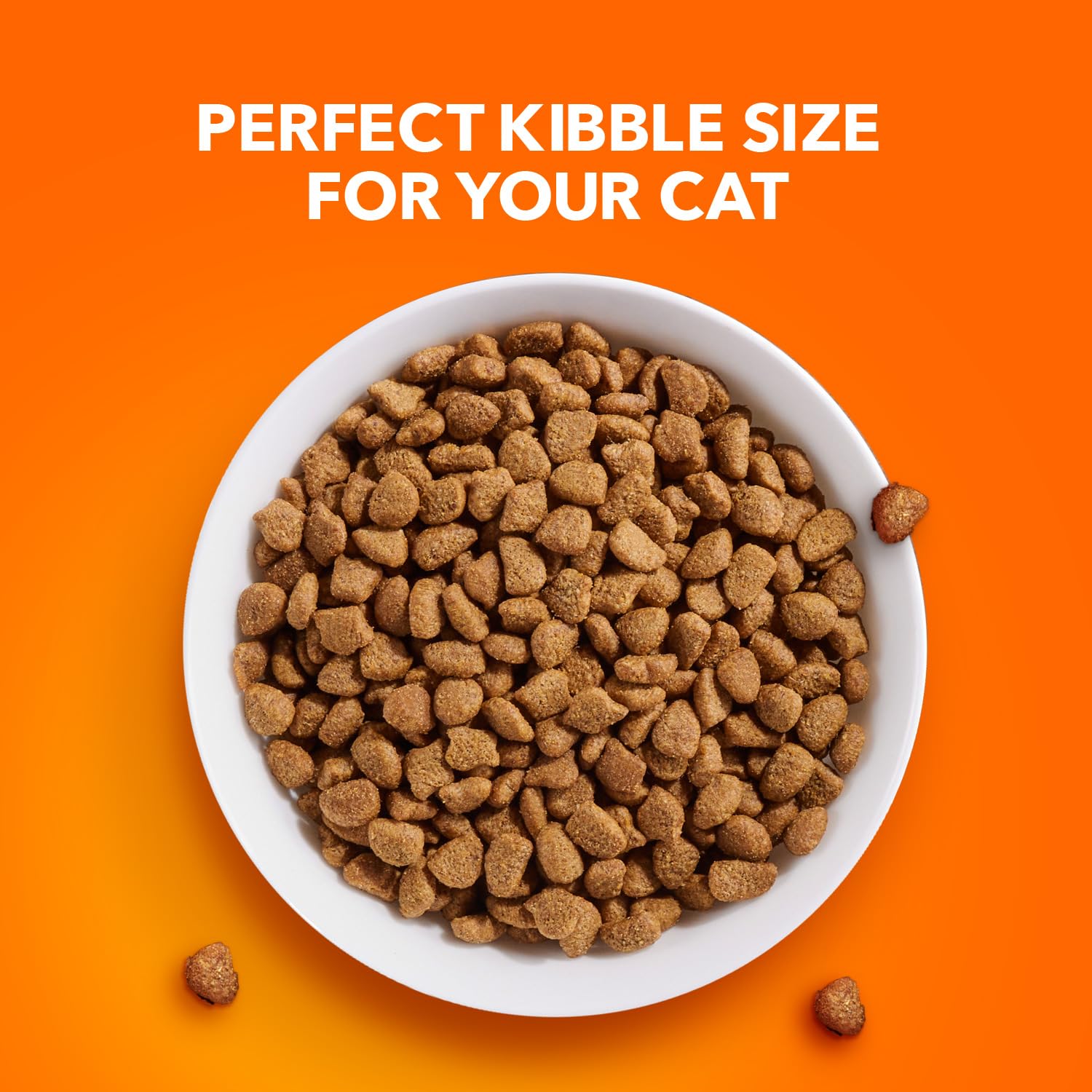 IAMS Proactive Health Healthy Adult Dry Cat Food with Chicken, 16 lb. Bag
